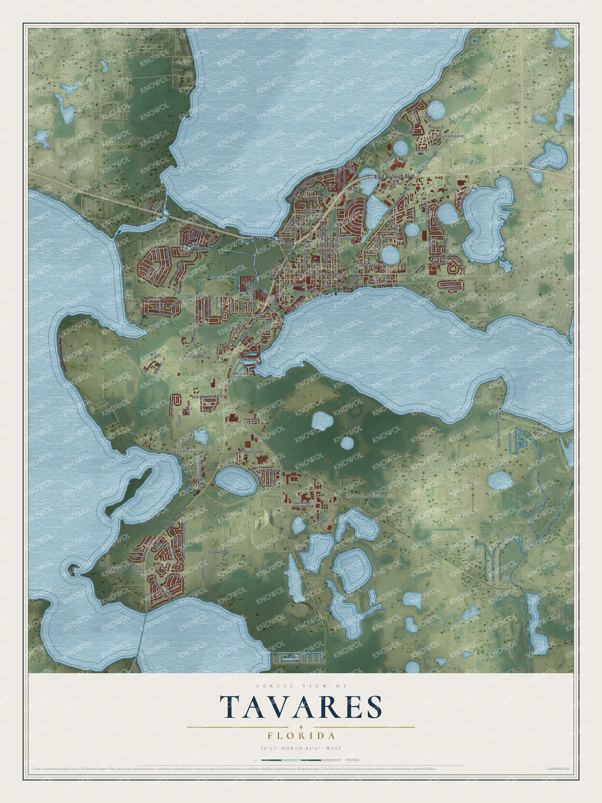 Detailed map of Tavares, Florida, showing streets, buildings, and neighborhoods