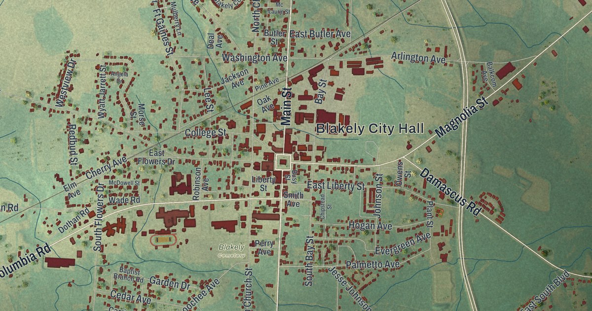 Close-up of streets and buildings in Blakely, Georgia
