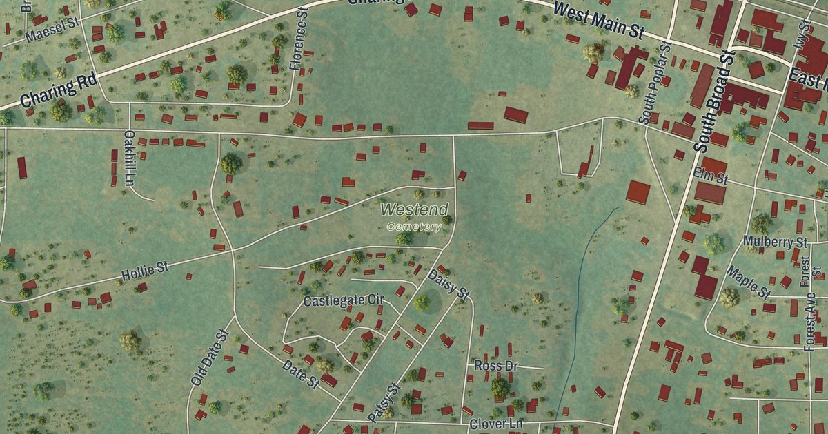 Close-up of streets and buildings in Butler, Georgia
