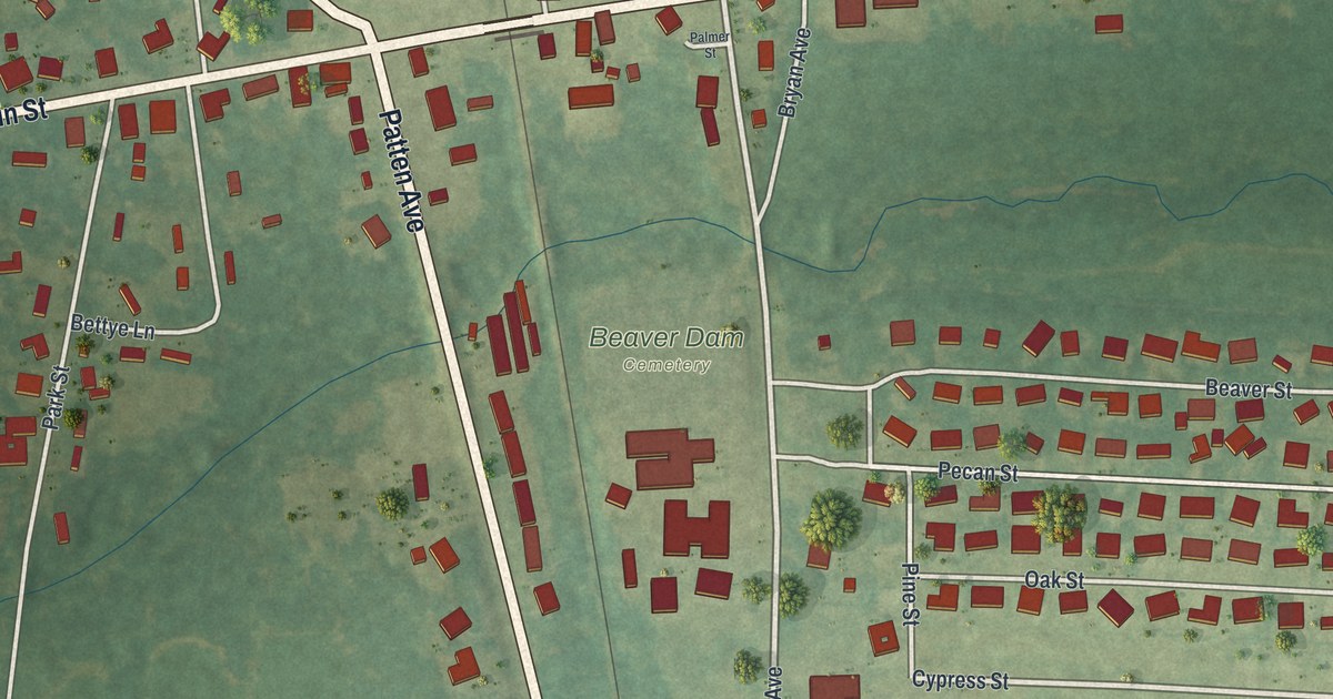 Close-up of streets and buildings in Ray City, Georgia