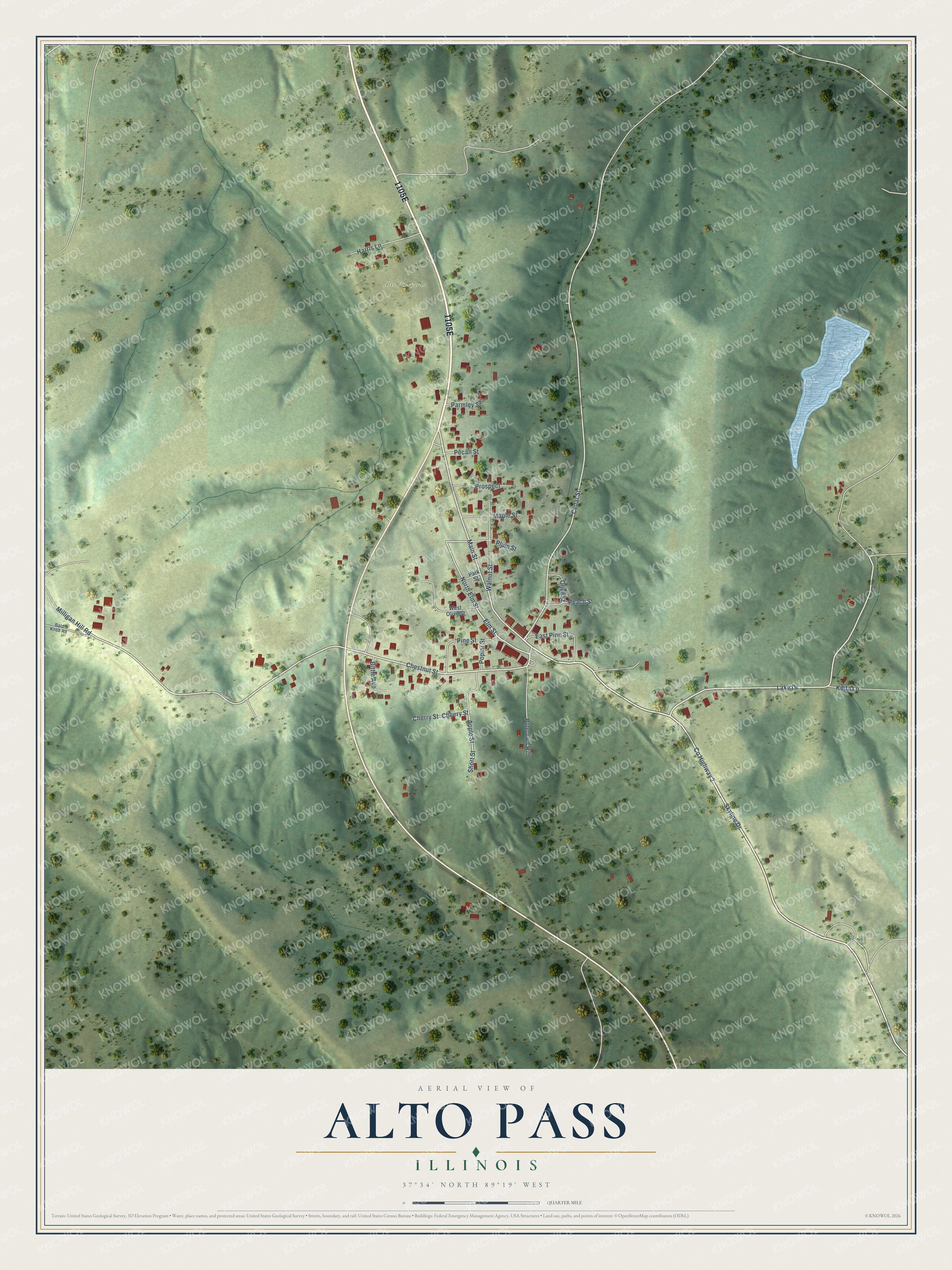 Full map of Alto Pass, Illinois, with red buildings, printed street names and the land around them