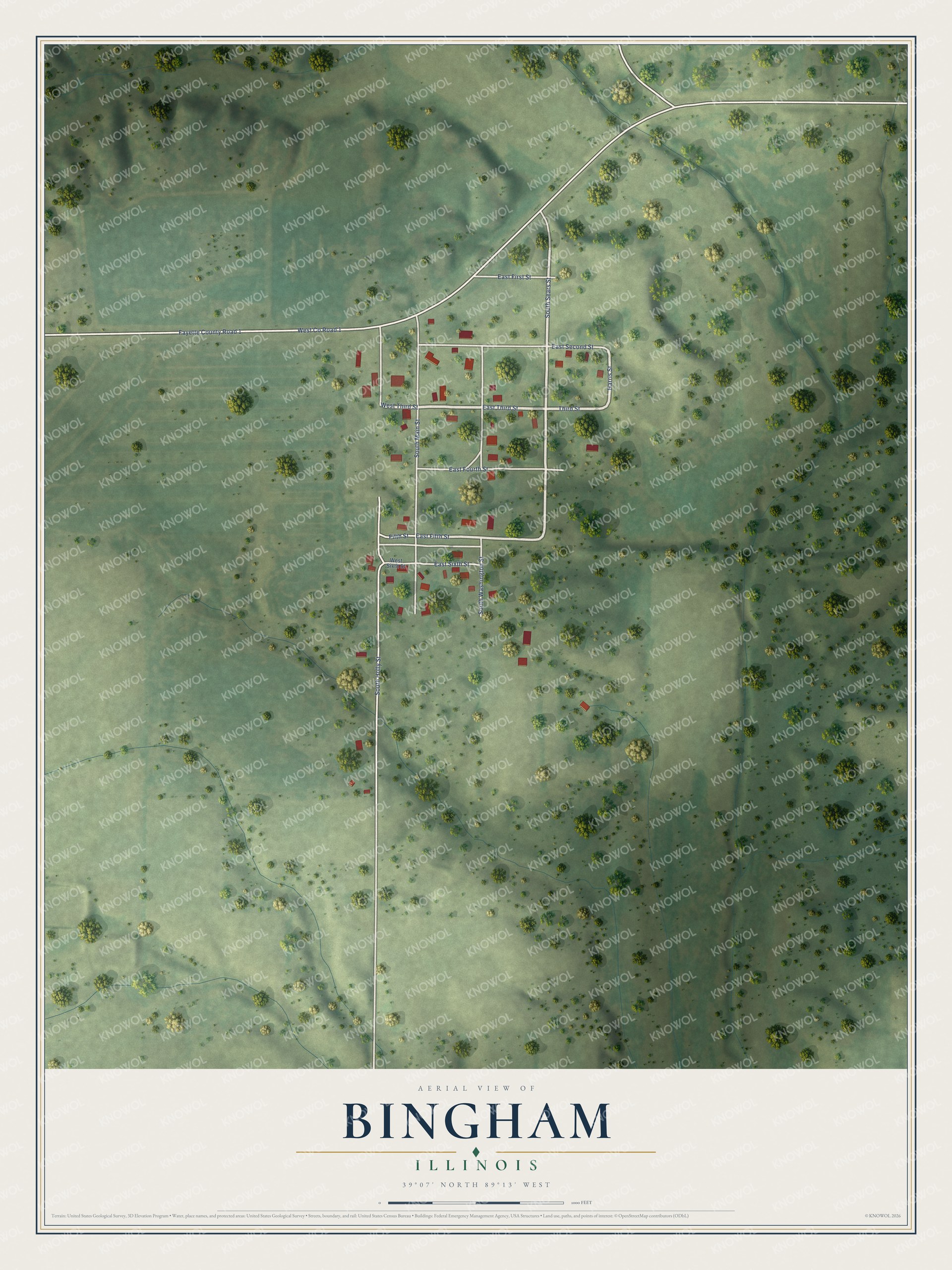 Full map of Bingham, Illinois, with red buildings, printed street names and the land around them