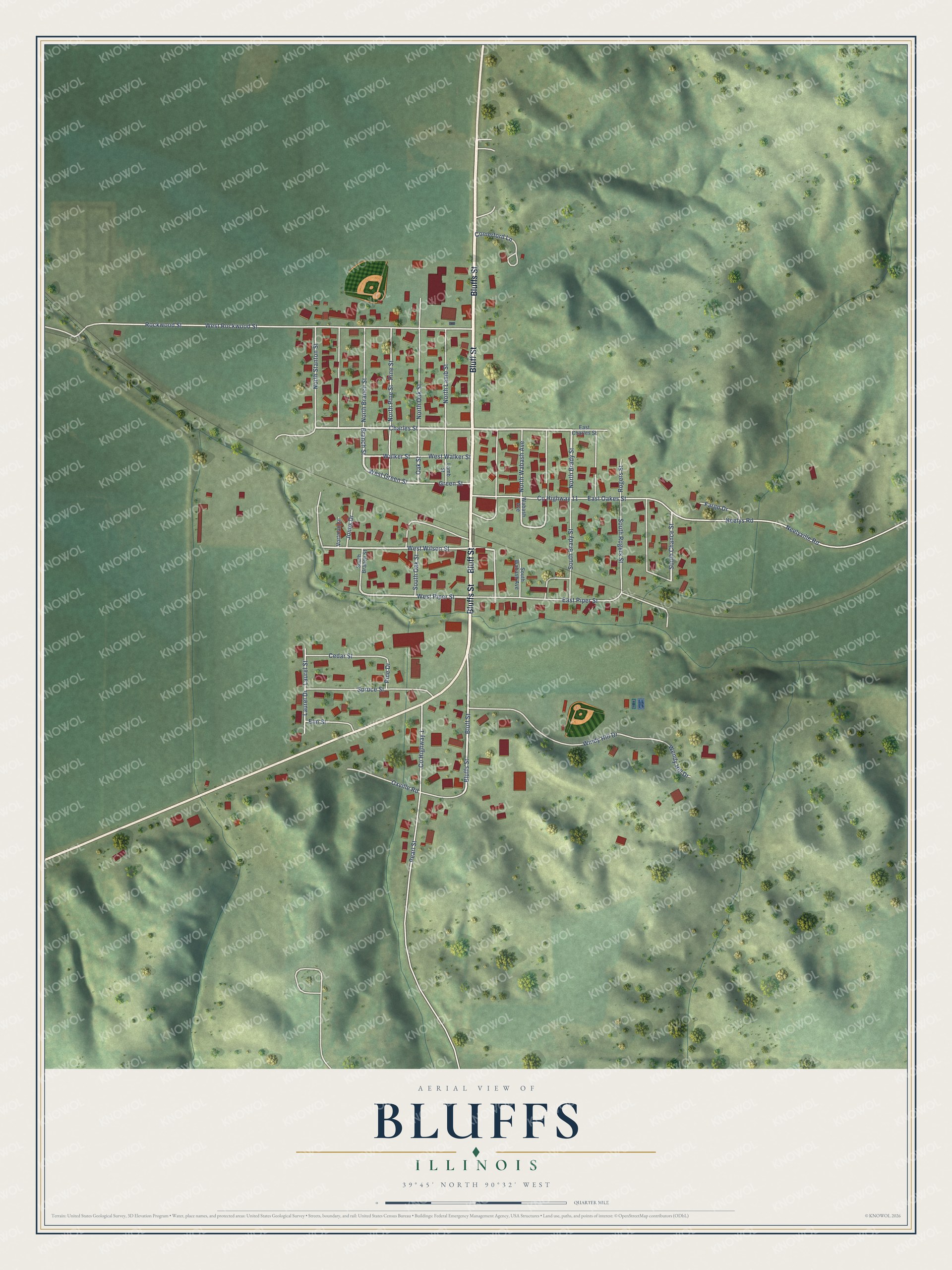 Watermarked full-map preview of Bluffs, Illinois