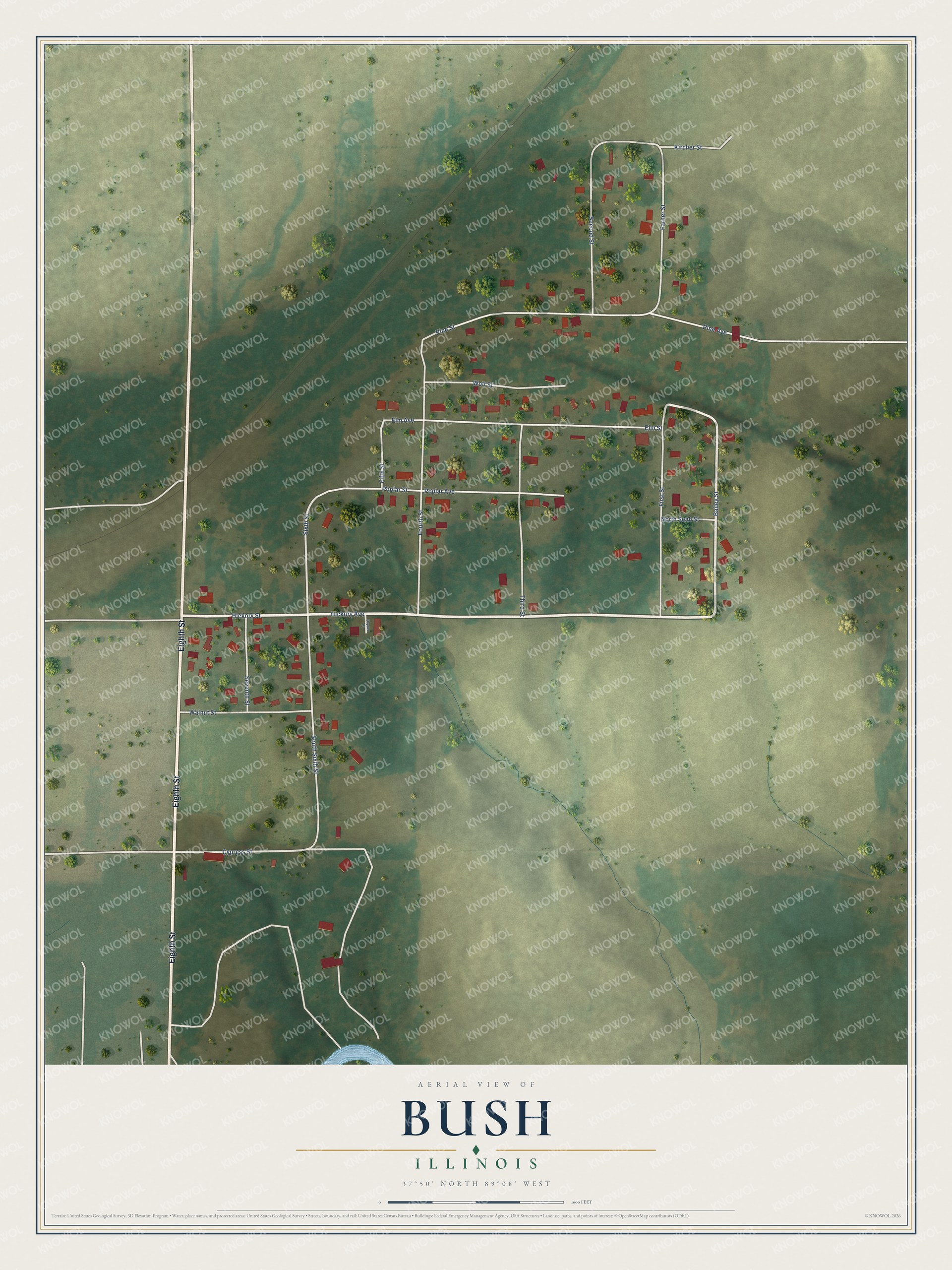 Watermarked full-map preview of Bush, Illinois
