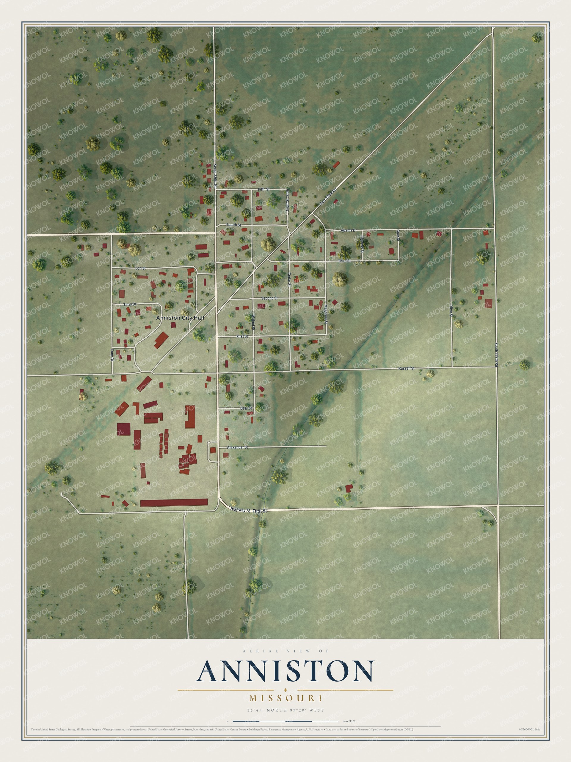 Full map of Anniston, Missouri, with red buildings, printed street names and the land around them