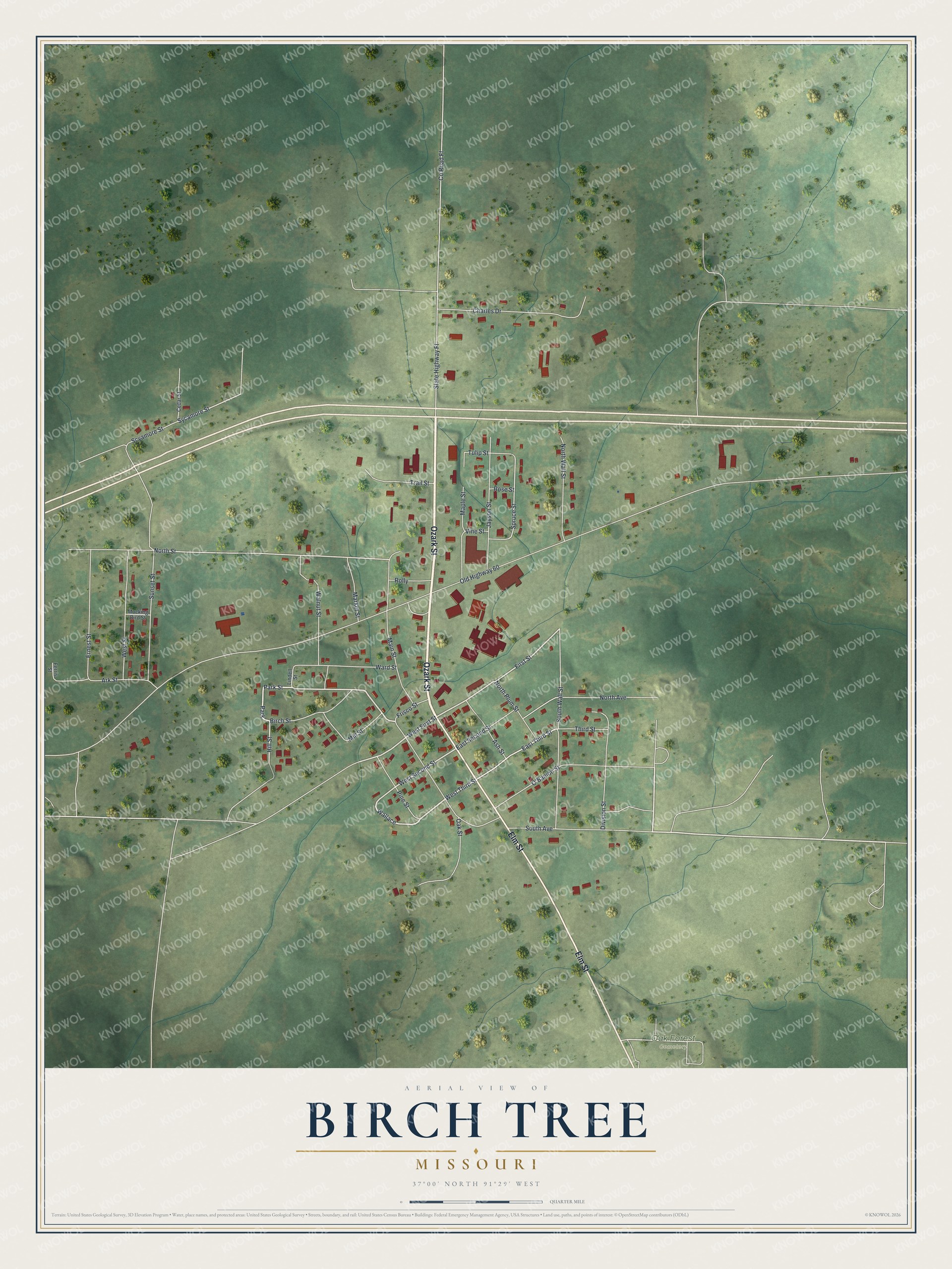 Full map of Birch Tree, Missouri, with red buildings, printed street names and the land around them