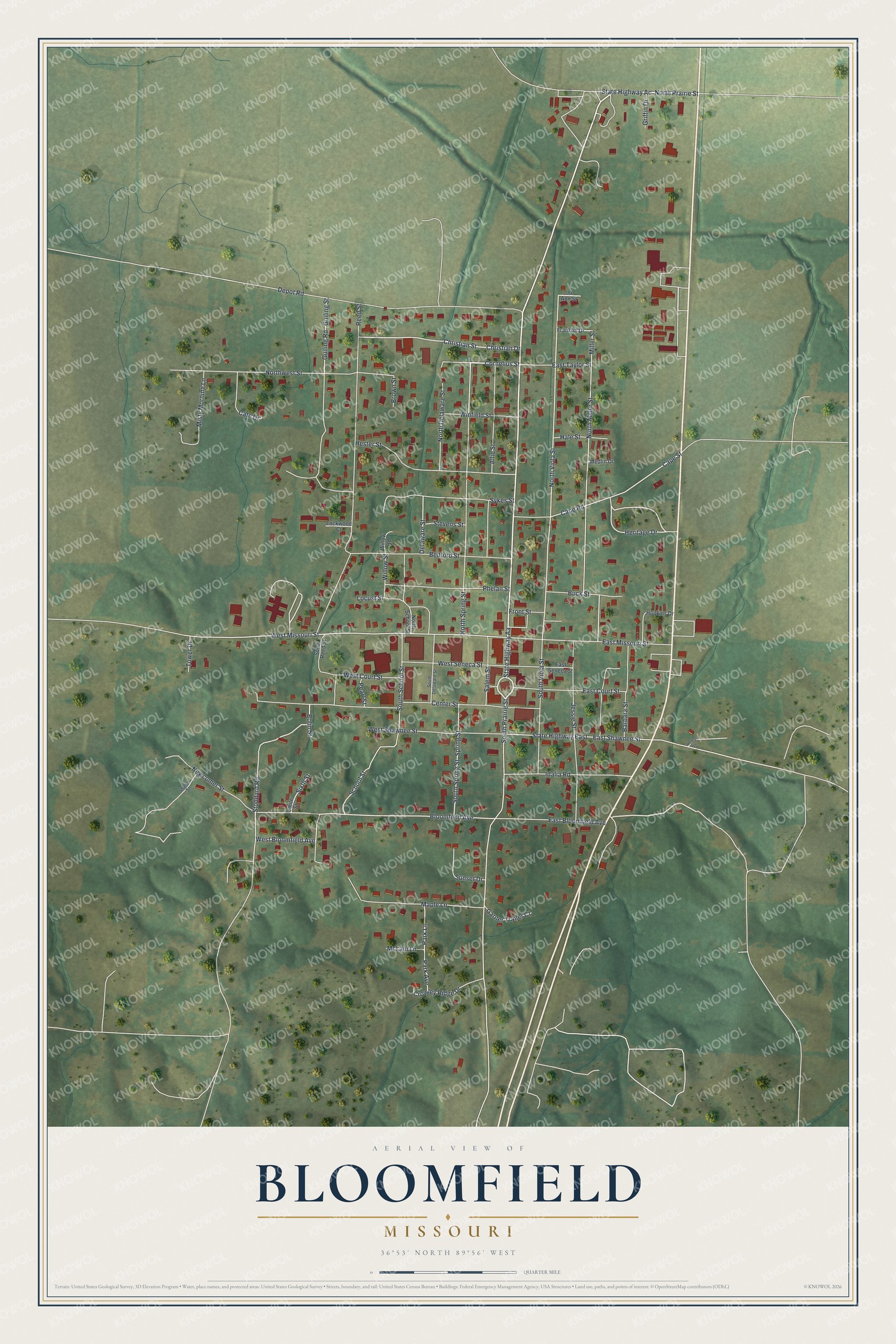 Watermarked full-map preview of Bloomfield, Missouri