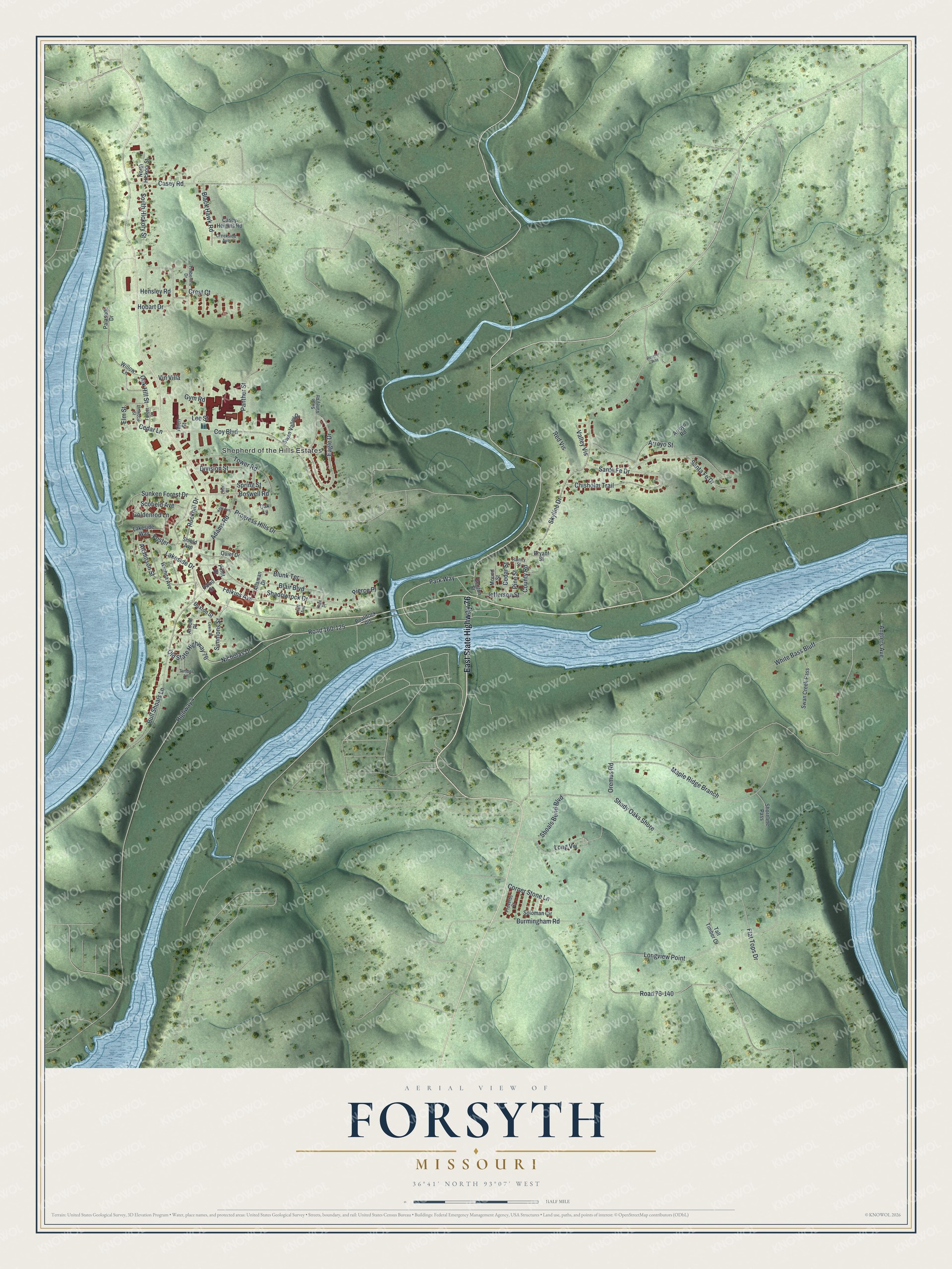 Full Forsyth, Missouri map with shaded green hills, winding blue waterways, red buildings, and a cream title panel
