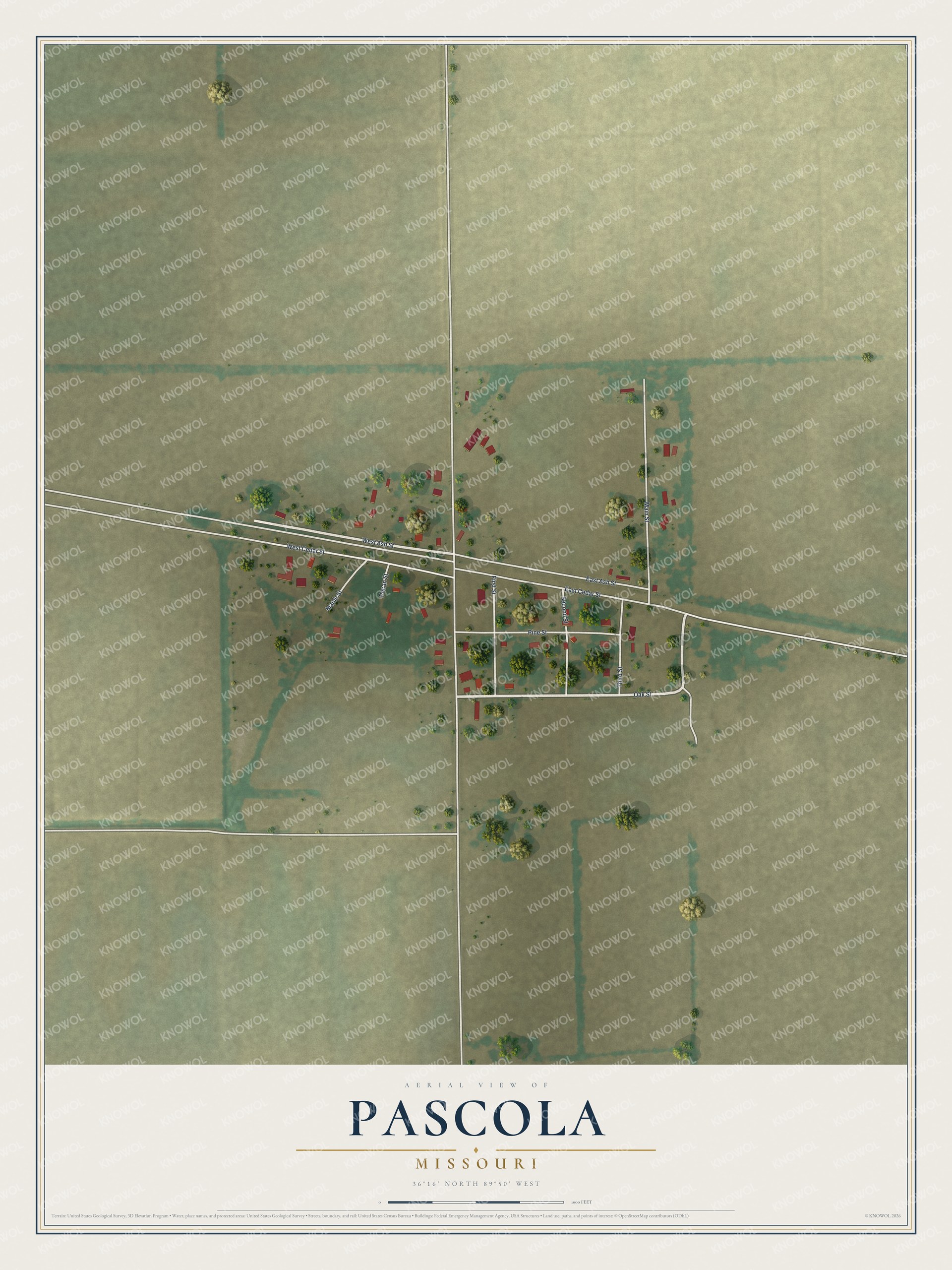 Full map of Pascola, Missouri, with red buildings, printed street names and the land around them