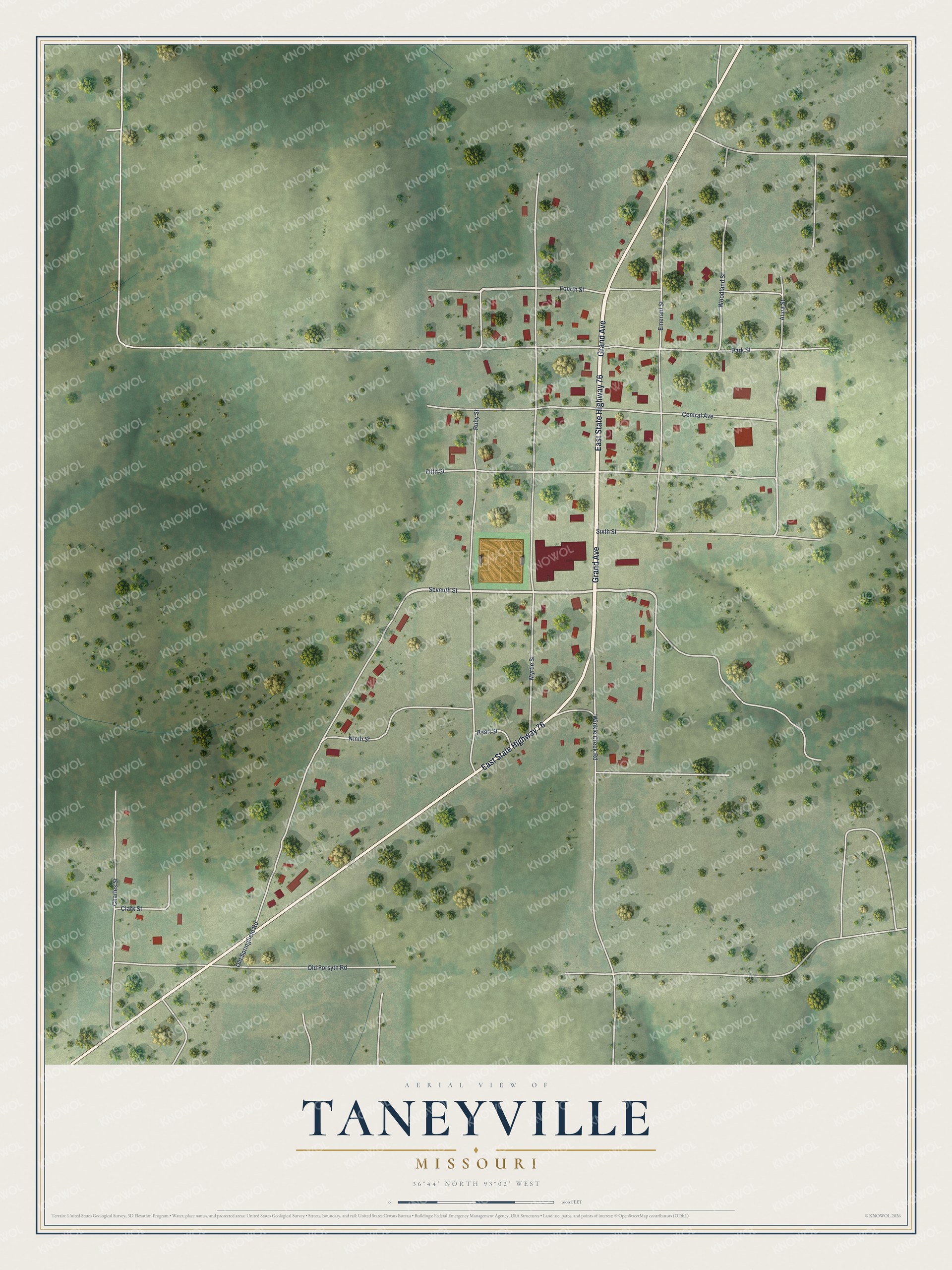 Full map of Taneyville, Missouri, with red buildings, printed street names and the land around them