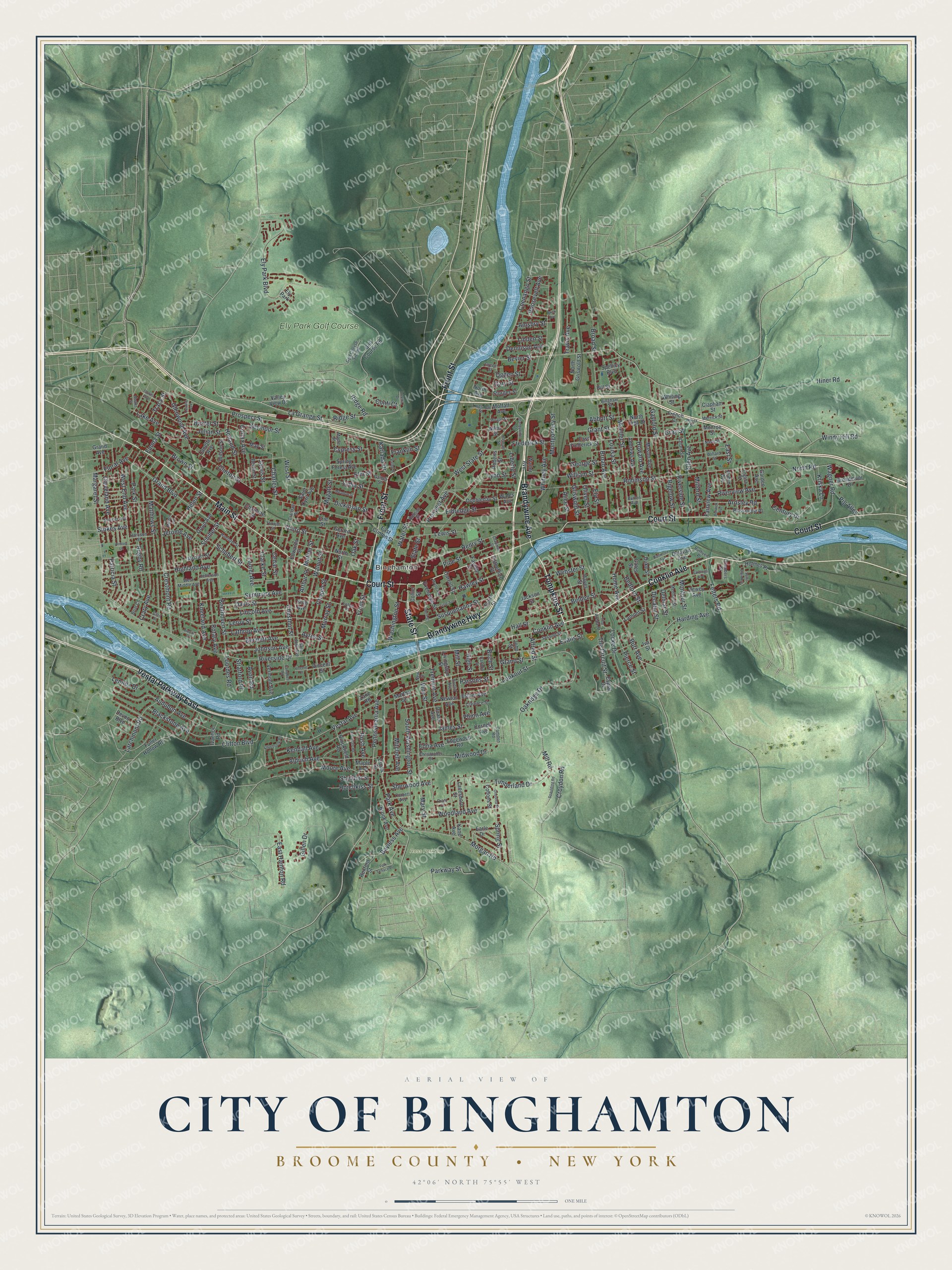 Watermarked full-map preview of Binghamton, New York