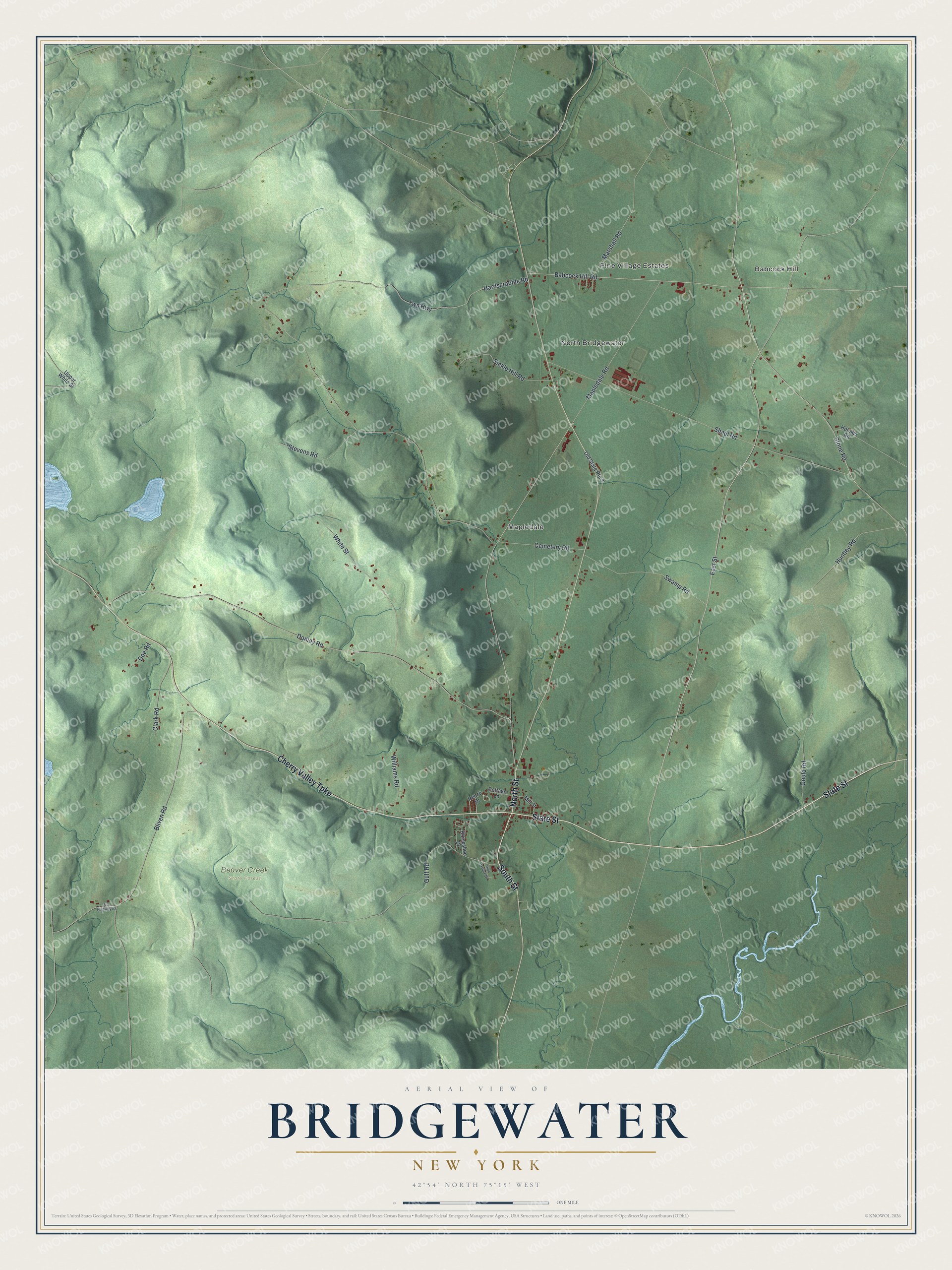 Detailed map of Bridgewater, New York, showing streets, buildings, neighborhoods, and parks
