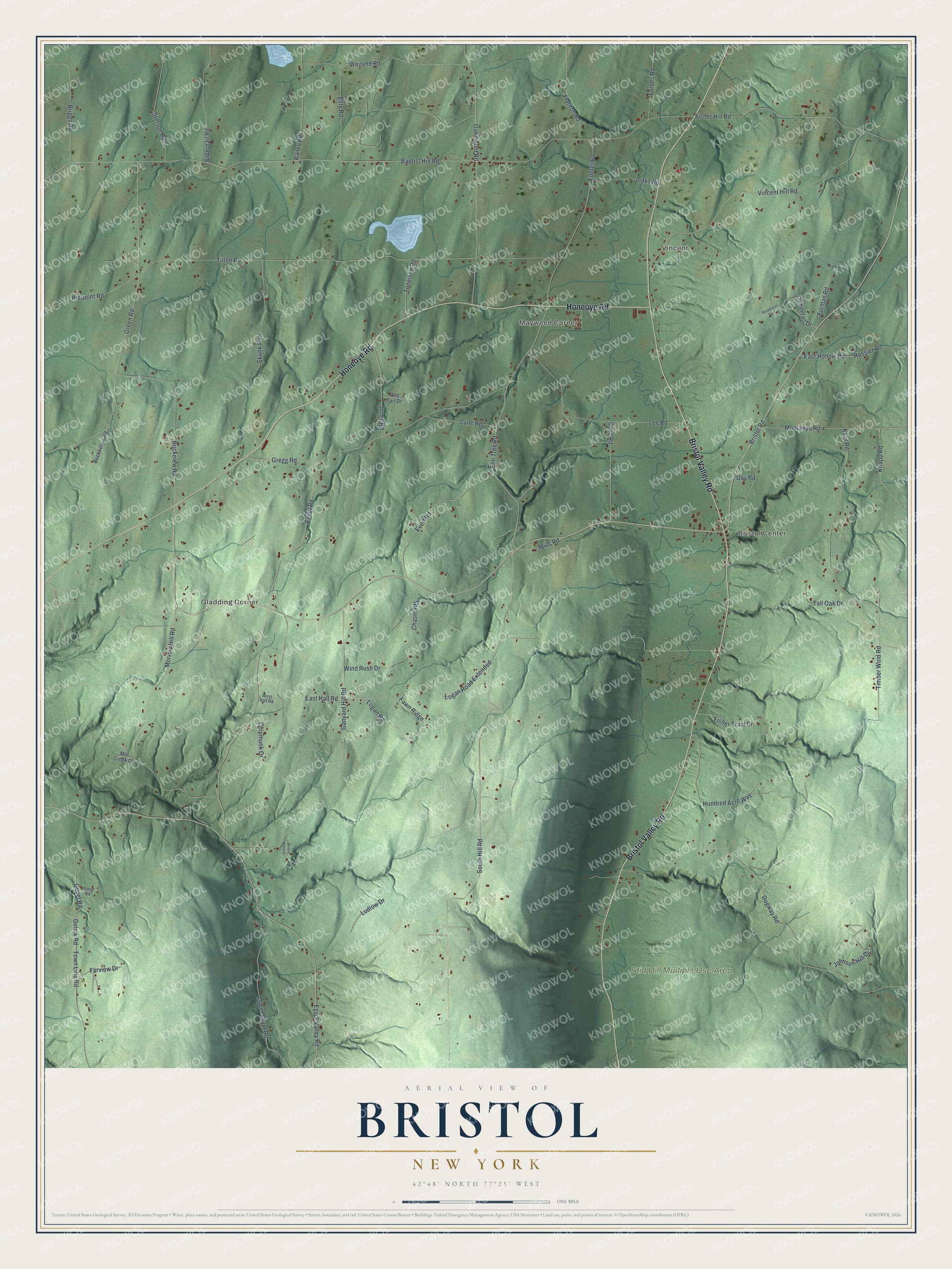Watermarked full-map preview of Bristol, New York