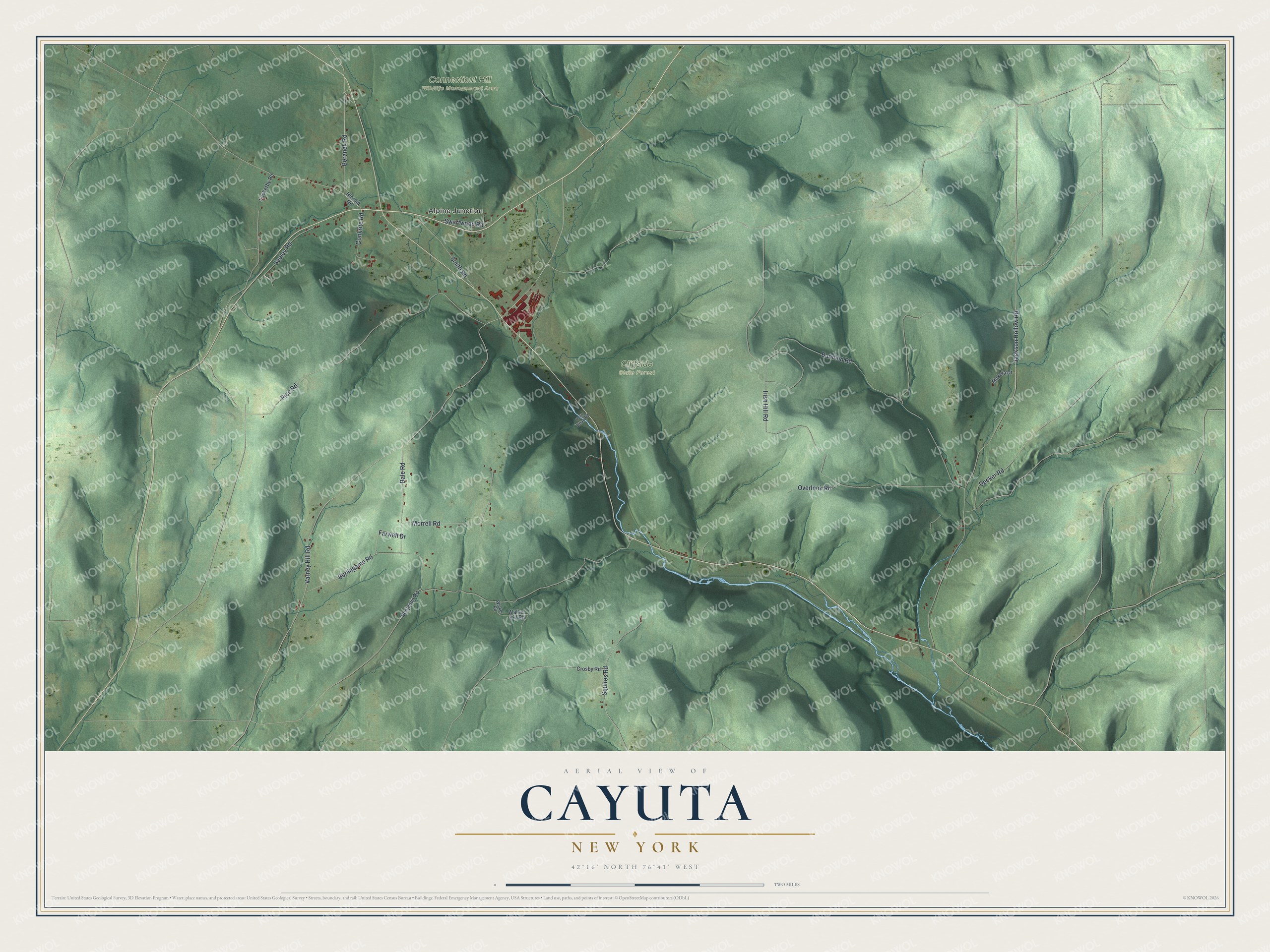 Detailed map of Cayuta, New York, showing streets, buildings, and parks