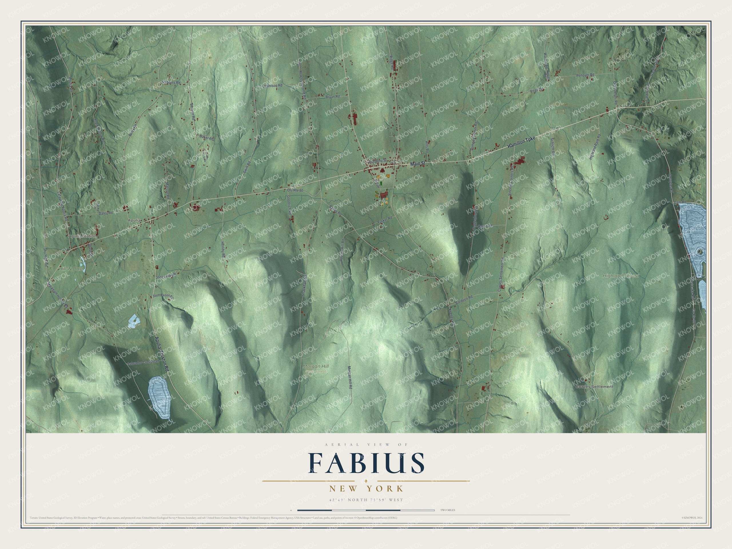 Watermarked full-map preview of Fabius, New York