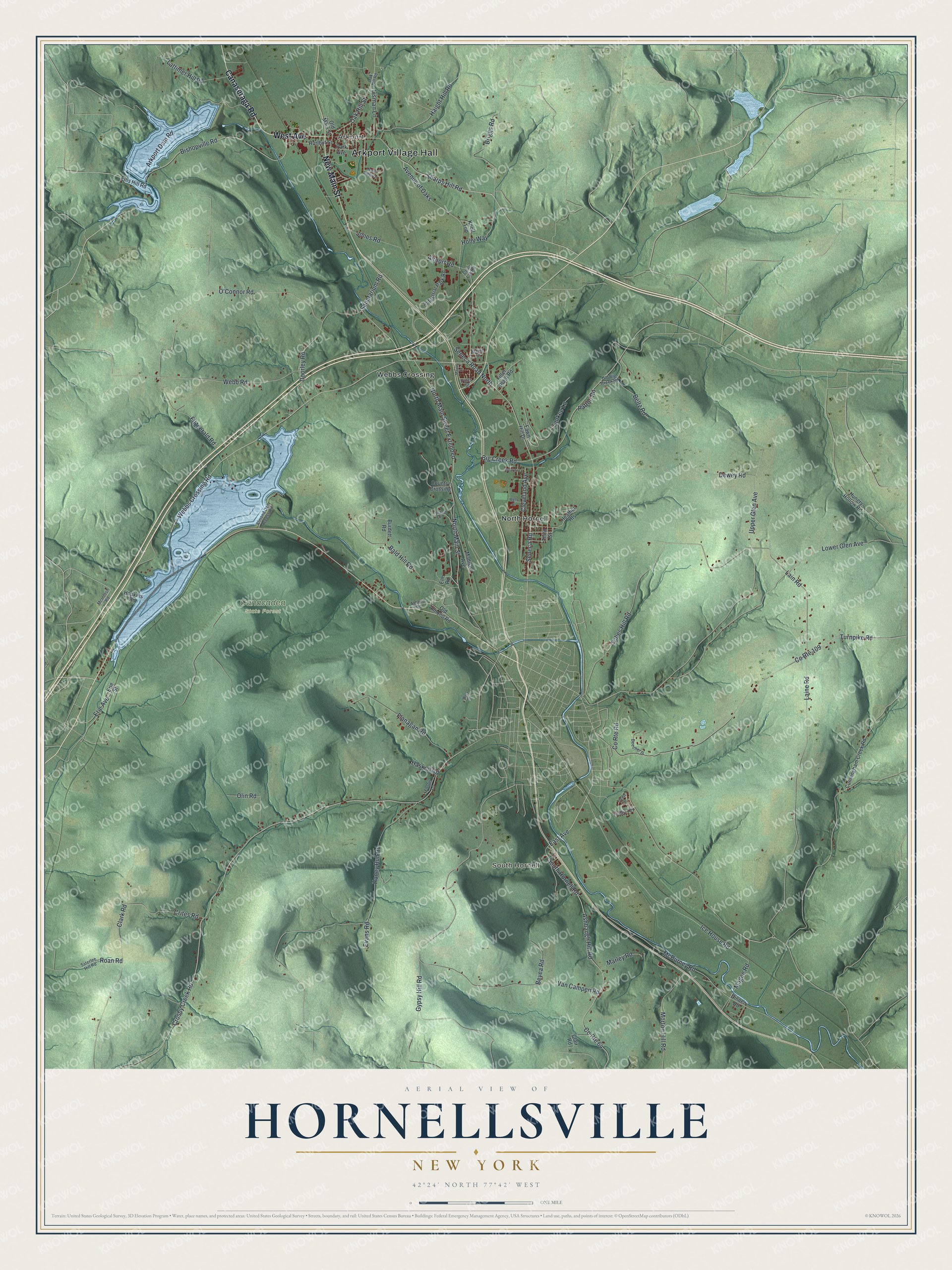 Detailed map of Hornellsville, New York, showing streets, buildings, neighborhoods, and parks