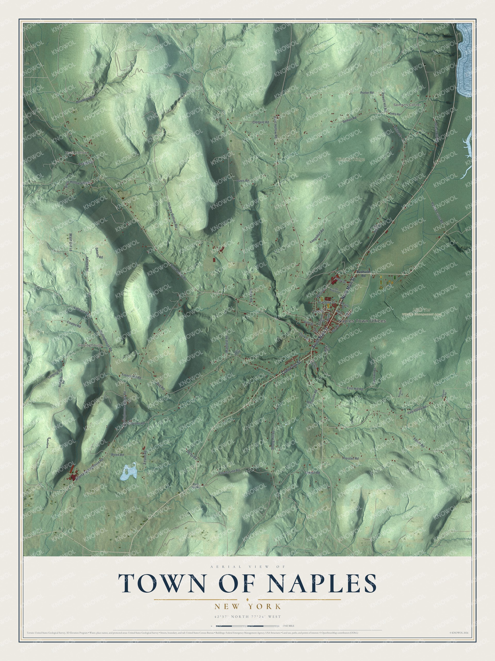 Detailed map of the Town of Naples, New York, showing streets, buildings, neighborhoods, and parks