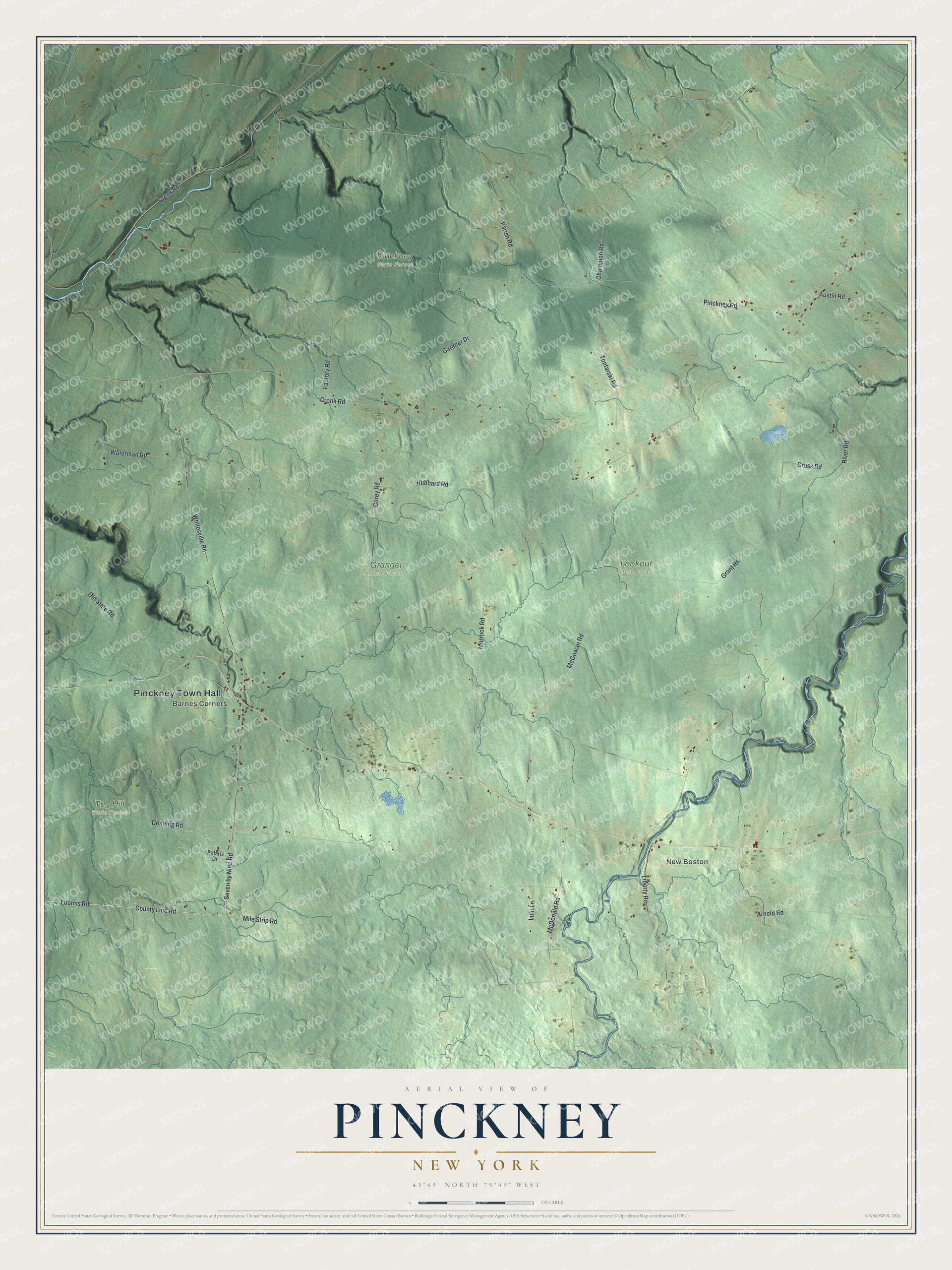 Detailed map of Pinckney, New York, showing streets, buildings, neighborhoods, and parks