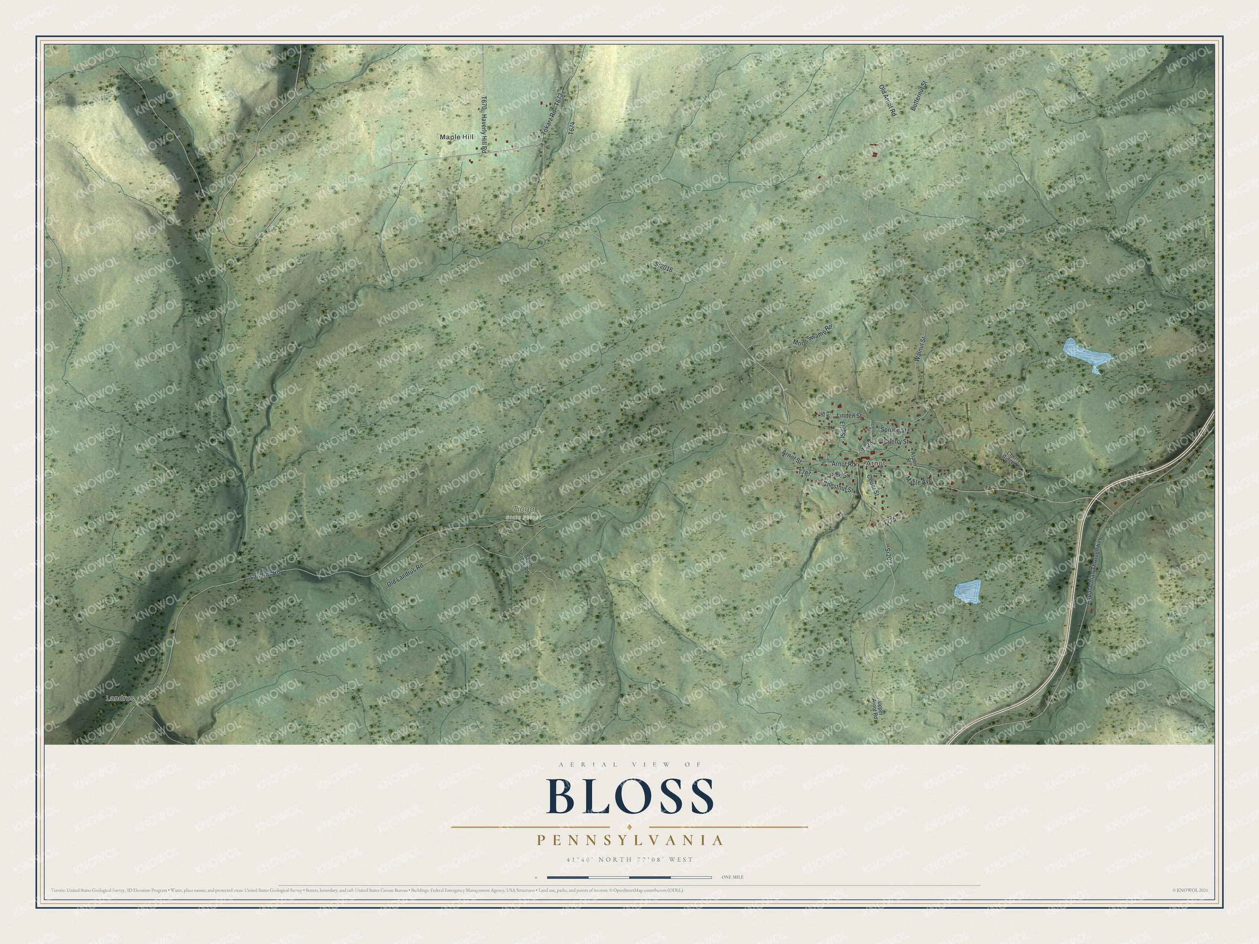 Full map of Bloss, Pennsylvania, with red buildings, printed street names and the land around them