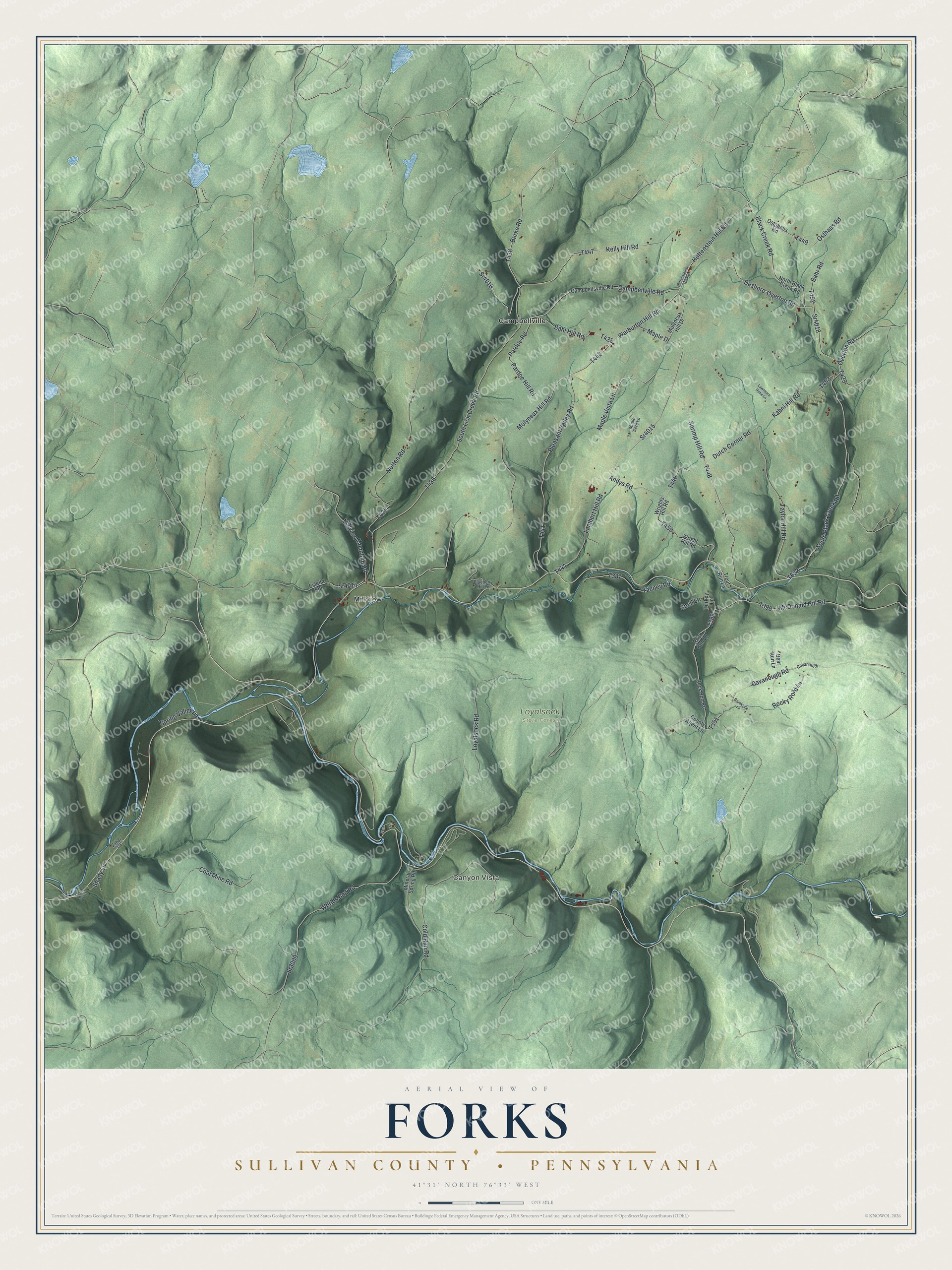 Full map of Forks, Sullivan County, Pennsylvania, with red buildings, printed street names and the land around them