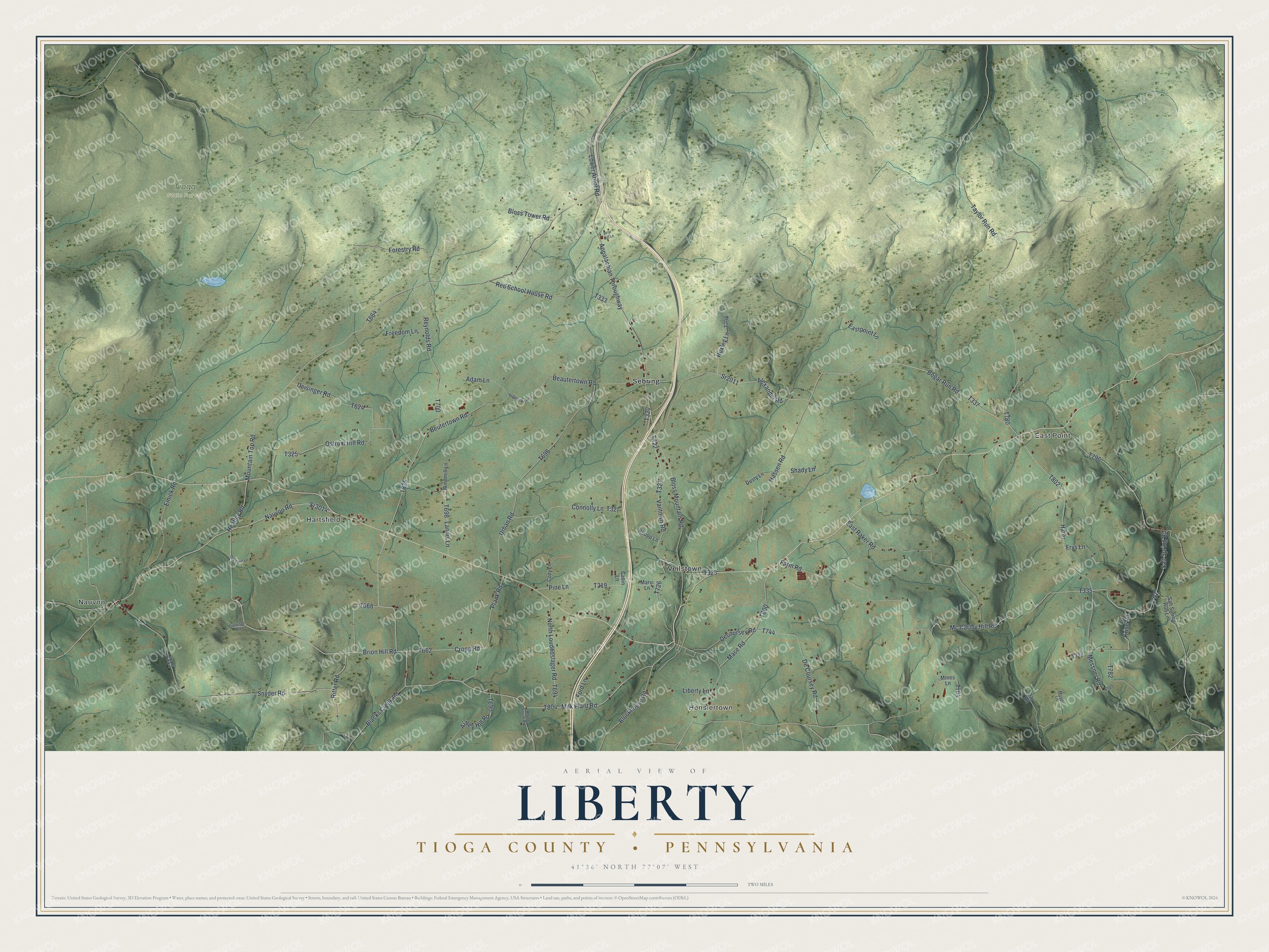Full map of Liberty Township, Tioga County, Pennsylvania, with red buildings, printed street names and the land around them