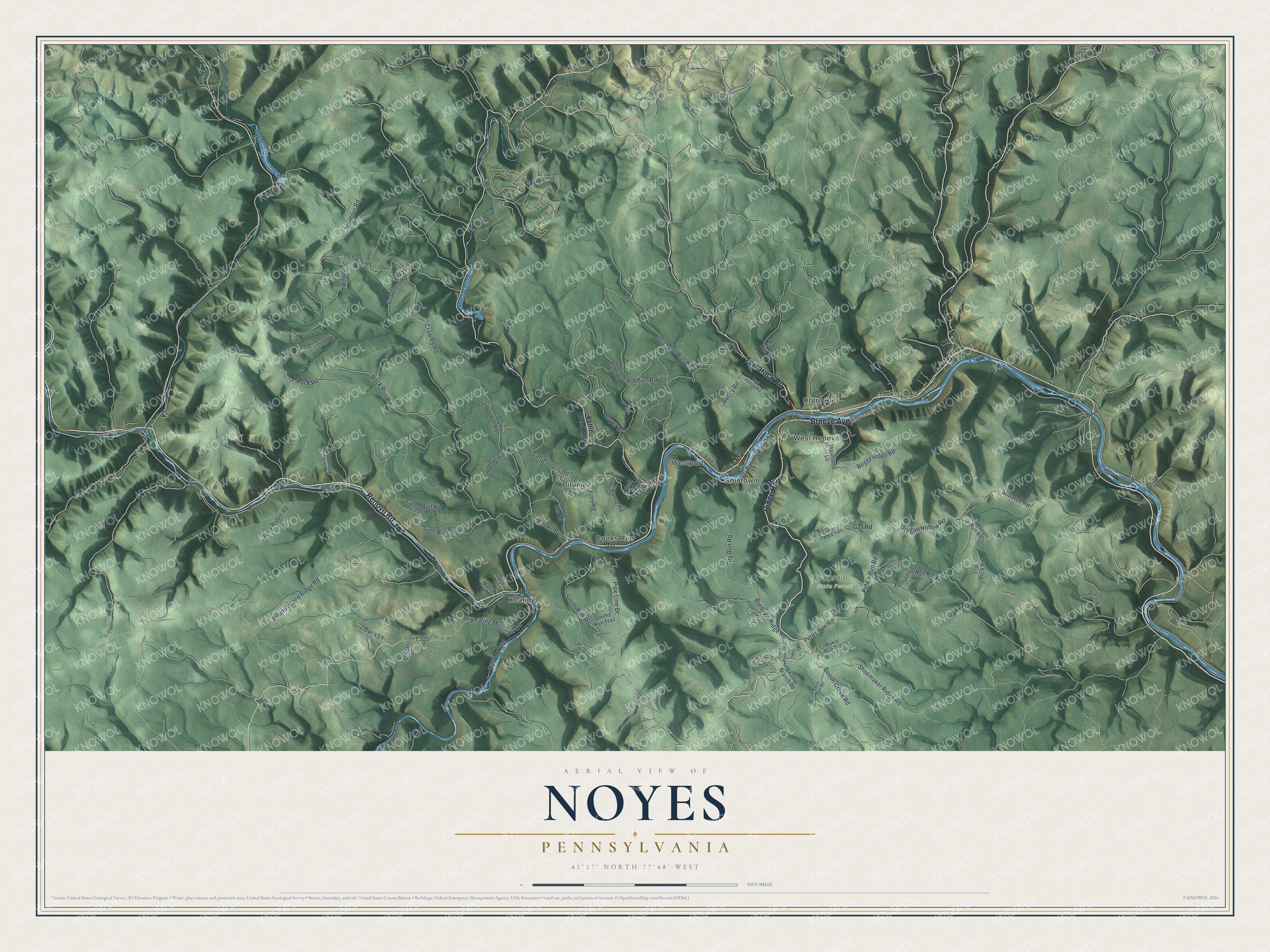 Full map of Noyes, Pennsylvania, with red buildings, printed street names and the land around them