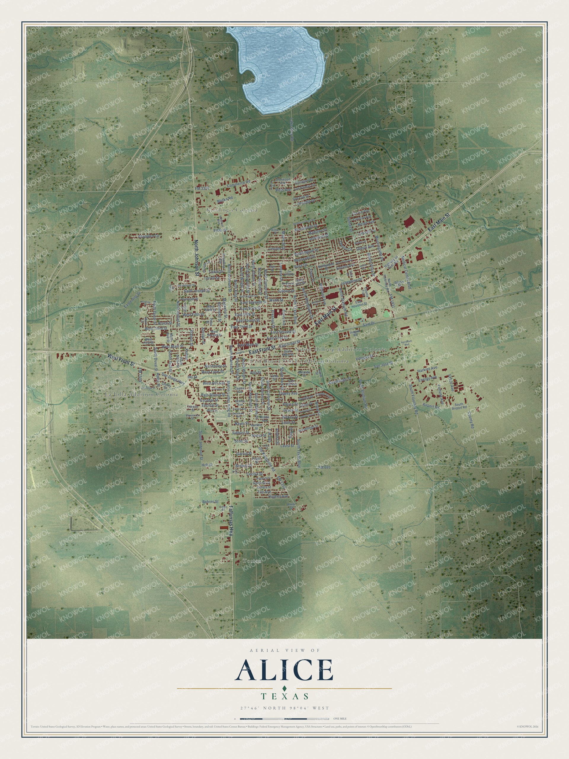 Full map of Alice, Texas, with red buildings, printed street names and the land around them