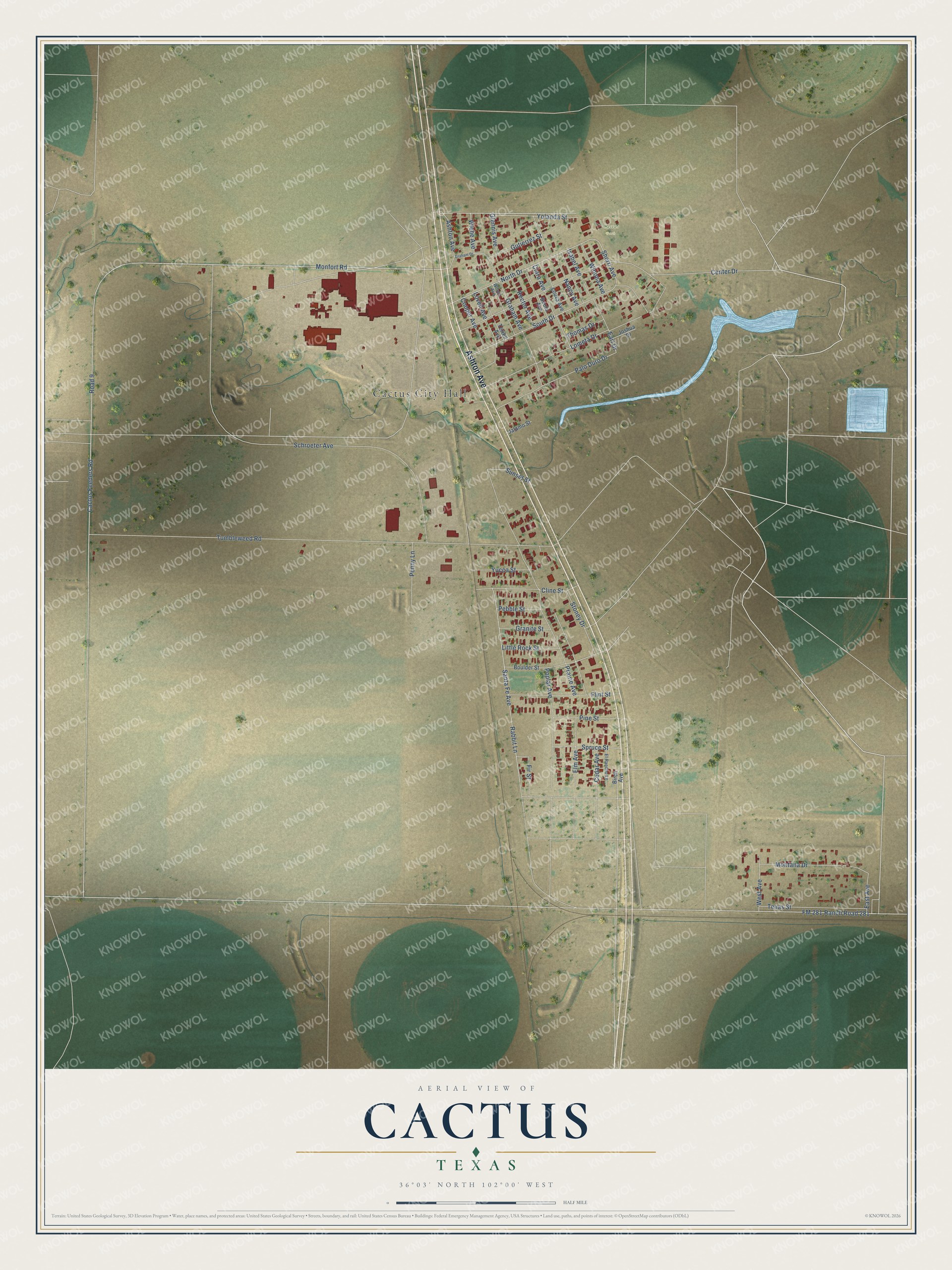 Full map of Cactus, Texas, with red buildings, printed street names and the land around them