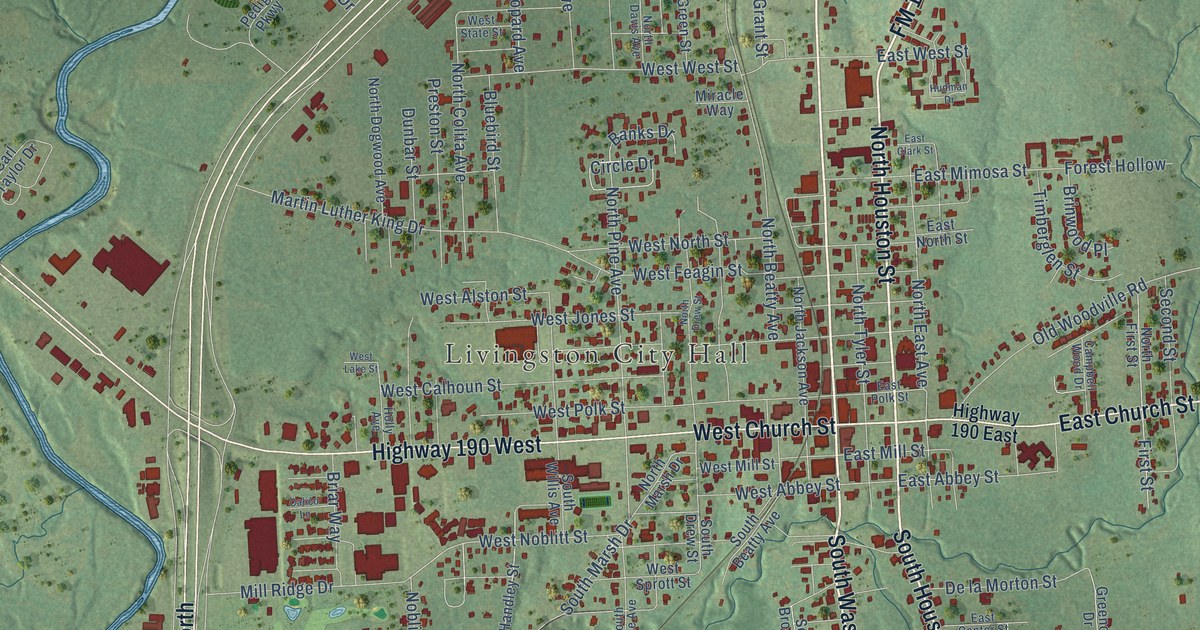 Map of Livingston, Texas in 2026