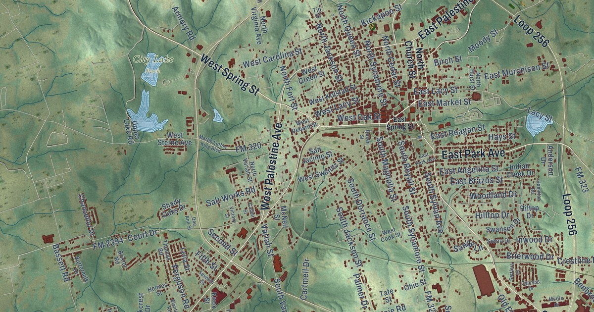 Map of Palestine, Texas in 2026