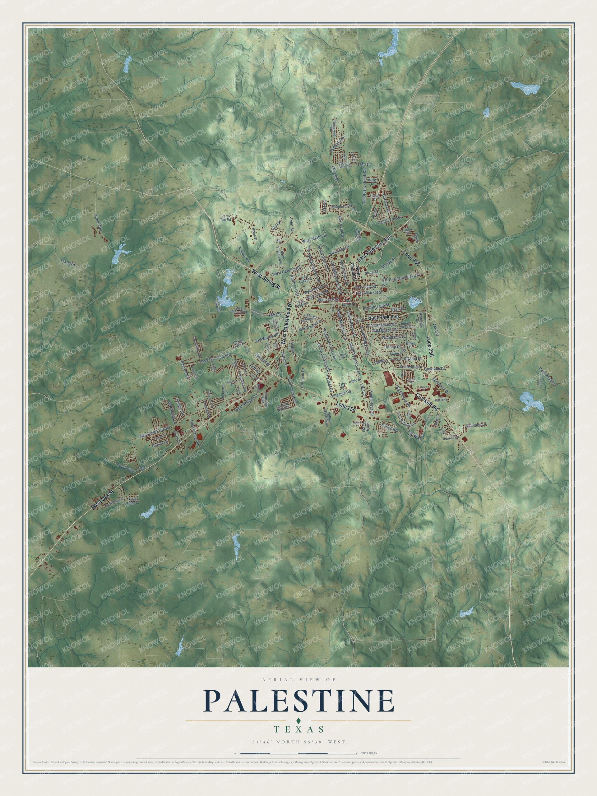 Watermarked full-map preview of Palestine, Texas