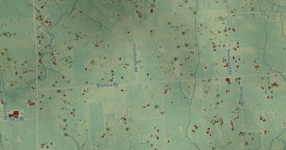 Map of Pine Island, Texas in 2026