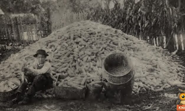 In 1910, 15-Year-Old Jerry Moore of Winona, South Carolina, Grew 228 Bushels of Corn on One Acre