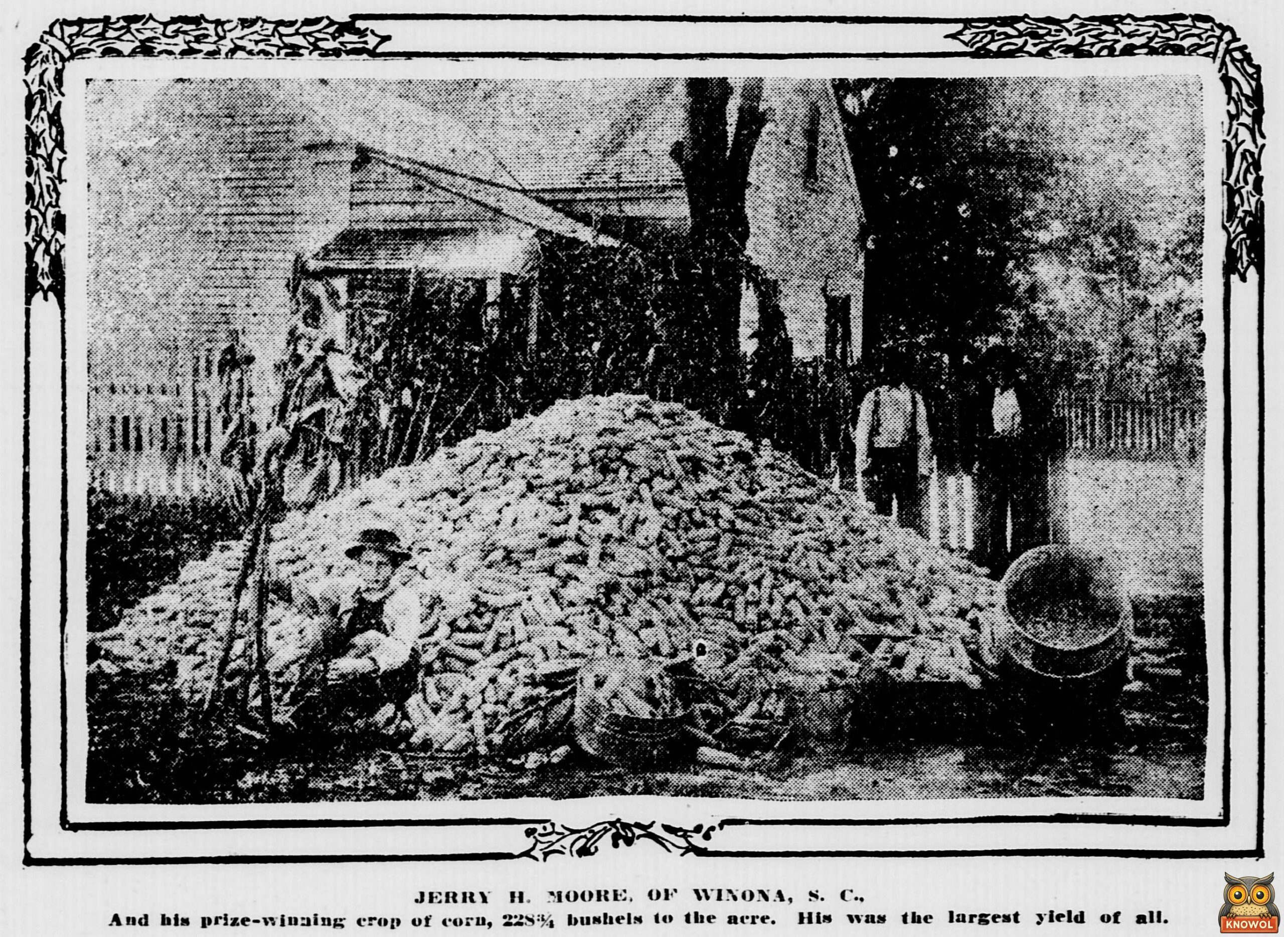 1910 Evening Star photograph of Jerry H. Moore of Winona, South Carolina, sitting beside a huge pile of corn, with two people and a house behind and the caption His was the largest yield of all