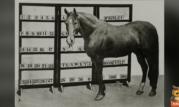 In 1906, a Tennessee Horse Named Jim Key Tied the Mayor’s Son in a Spelling Match