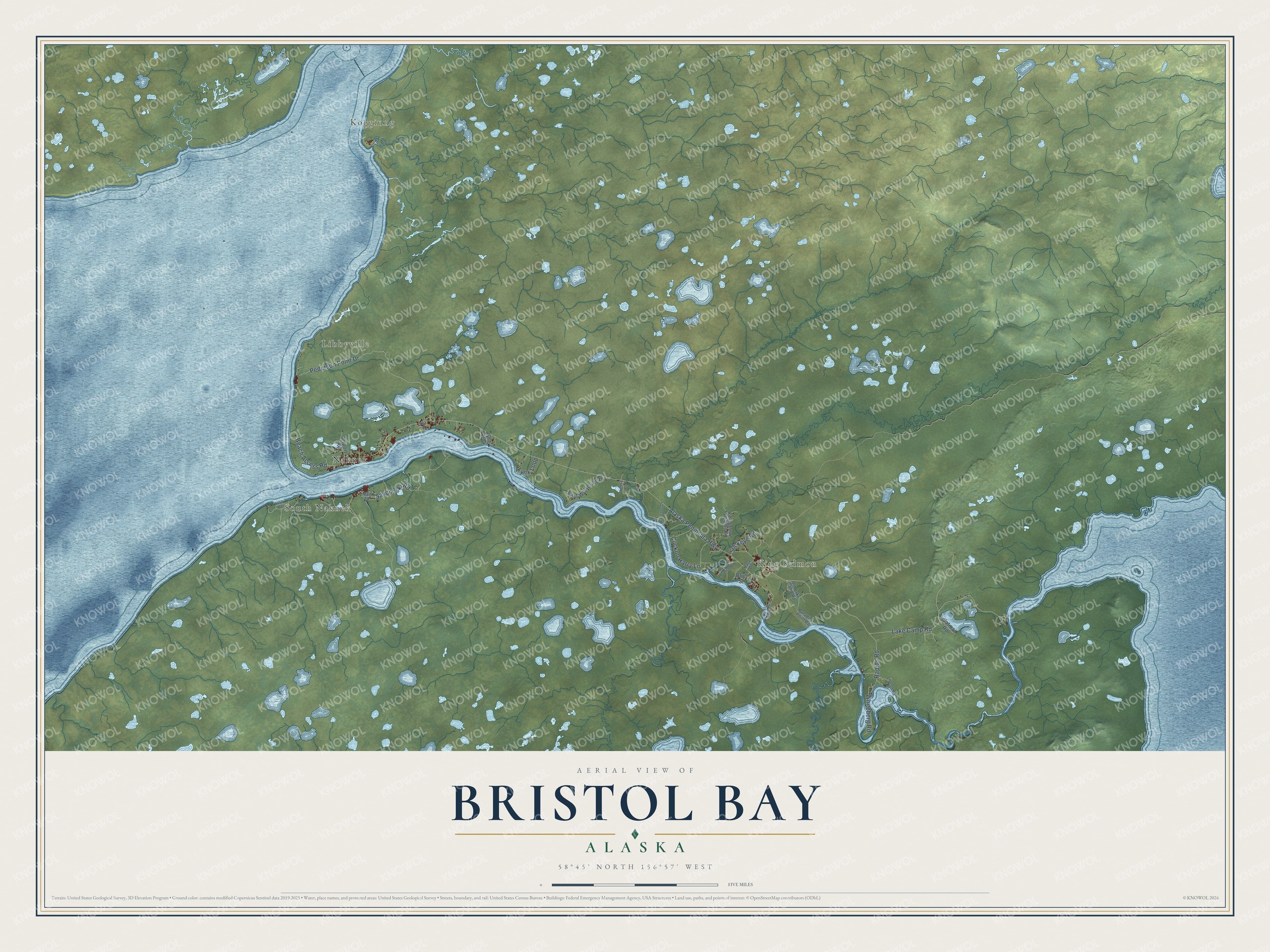 Full map of Bristol Bay, Alaska, with red buildings, printed street names and the land around them