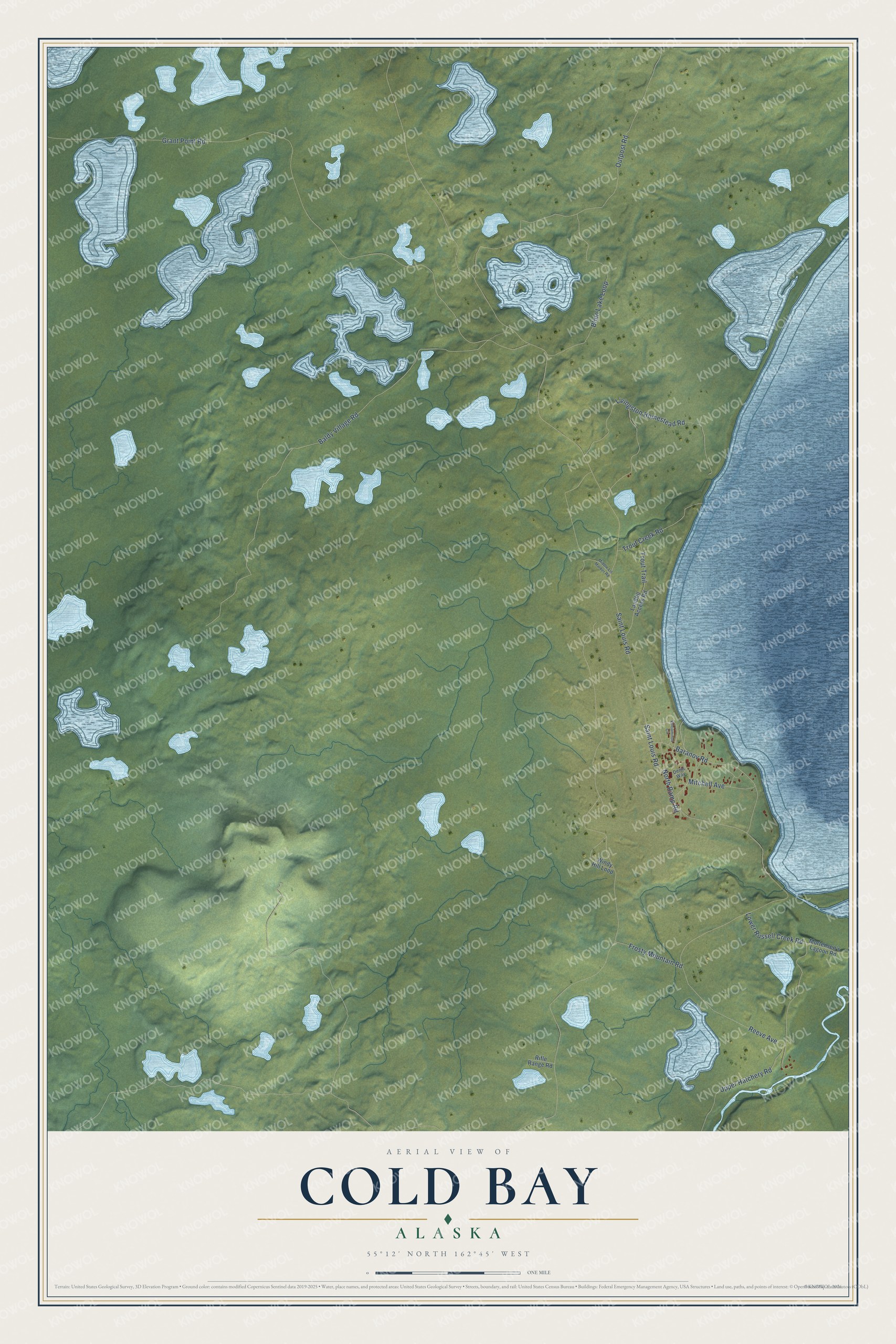 Full map of Cold Bay, Alaska, with red buildings, printed street names and the land around them
