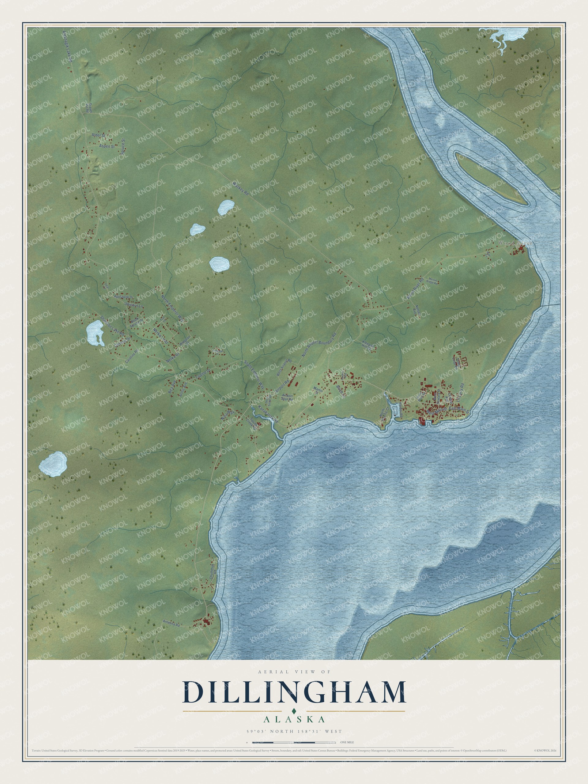 Full map of Dillingham, Alaska, with red buildings, printed street names and the land around them