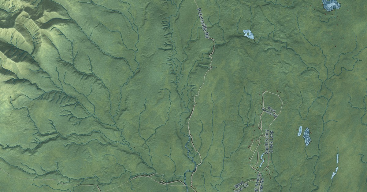 Detailed Map of Petersville, Alaska