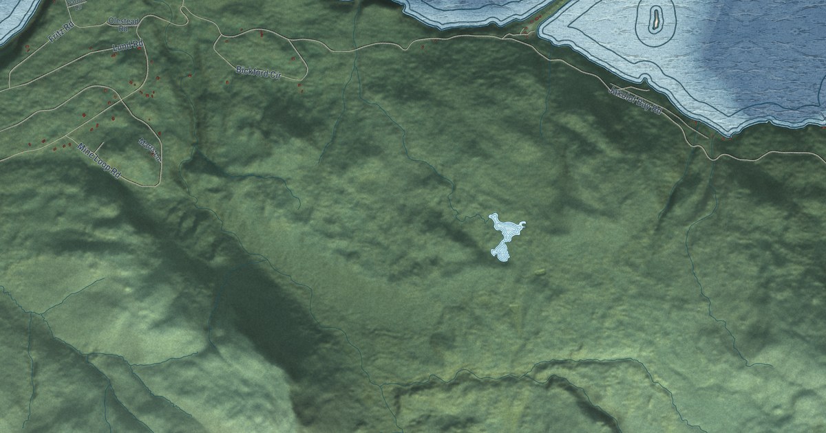 Detailed Map of Seldovia Village, Alaska
