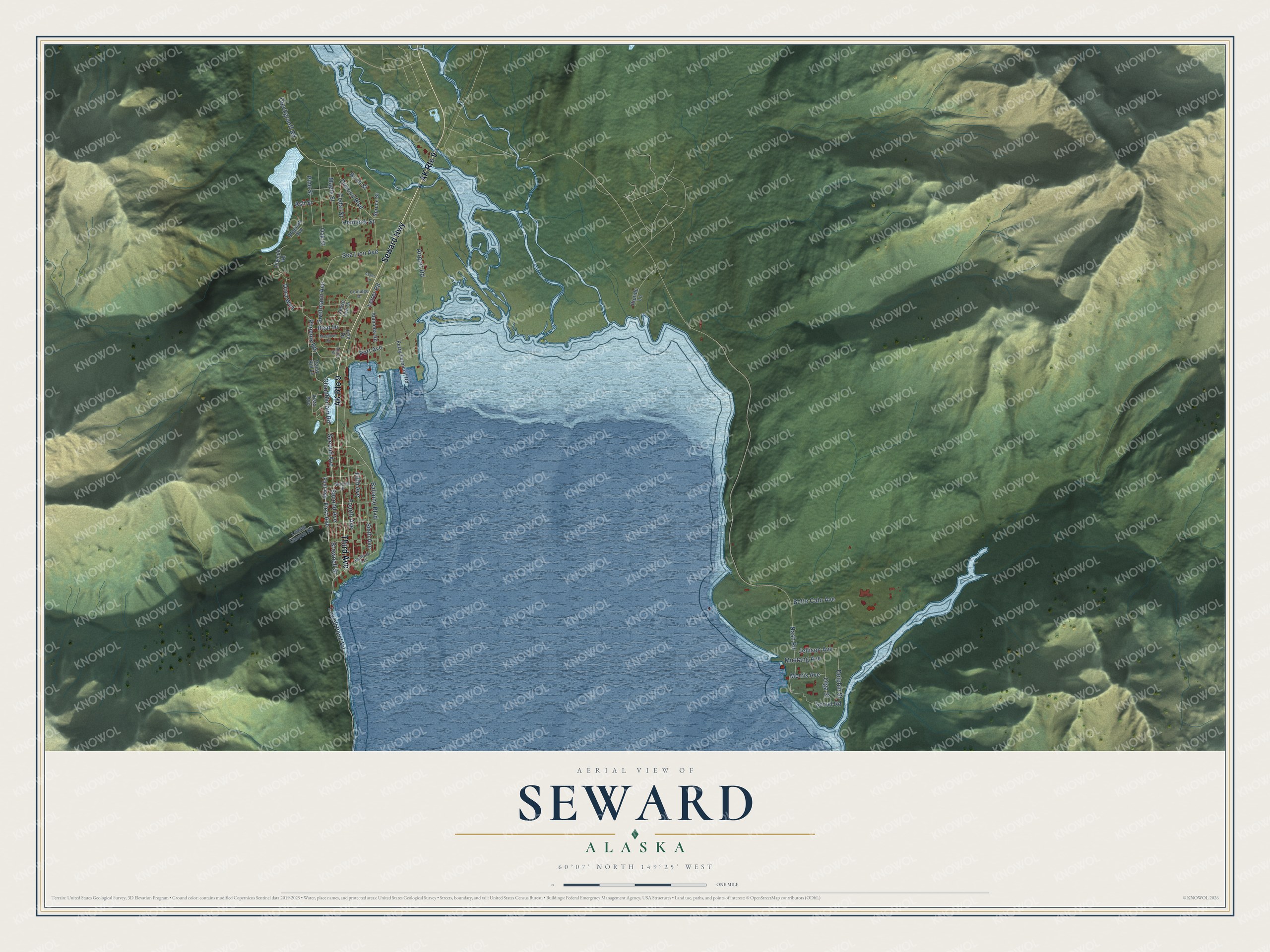 Full map of Seward, Alaska, with red buildings, printed street names and the land around them