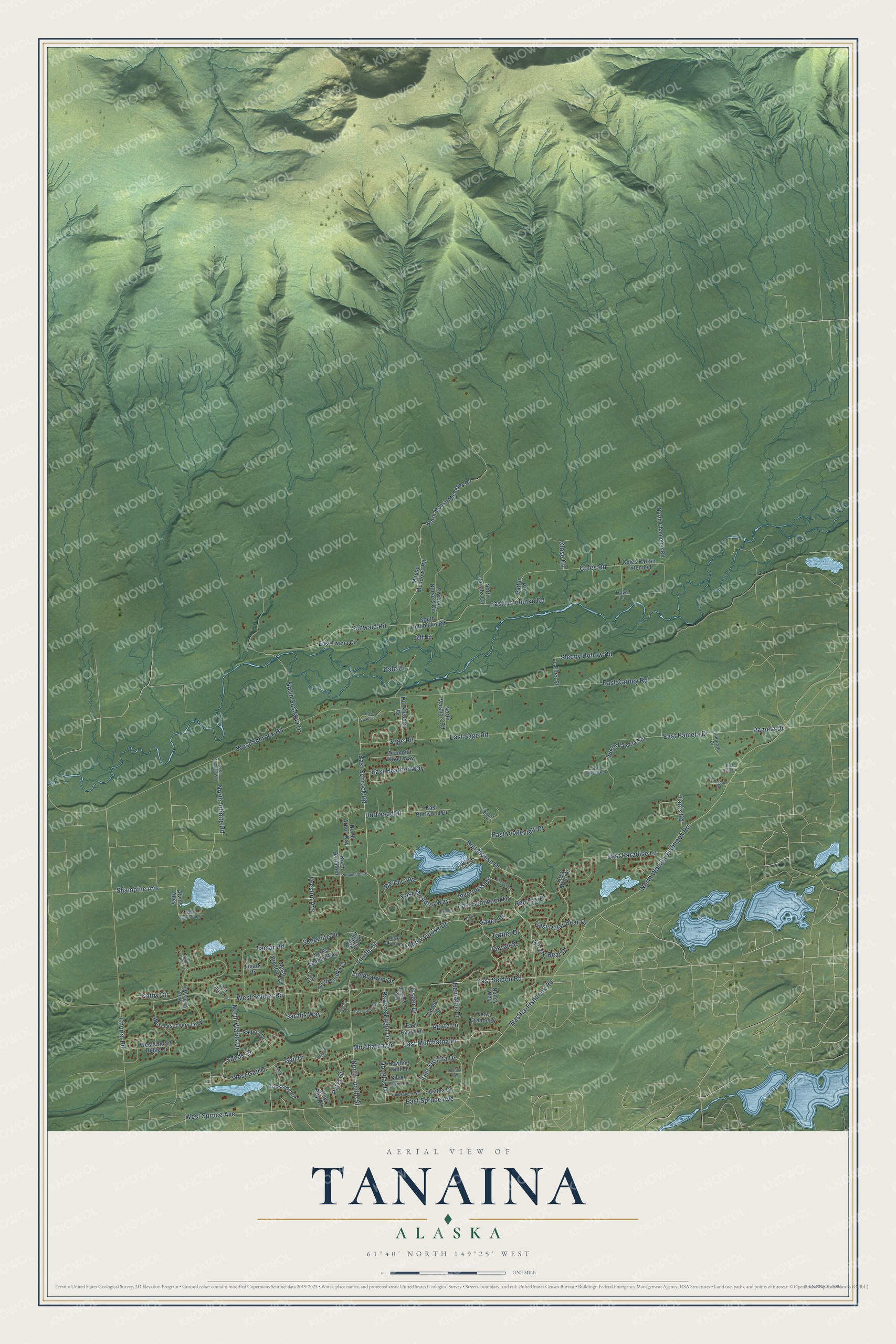 Full map of Tanaina, Alaska, with red buildings, printed street names and the land around them