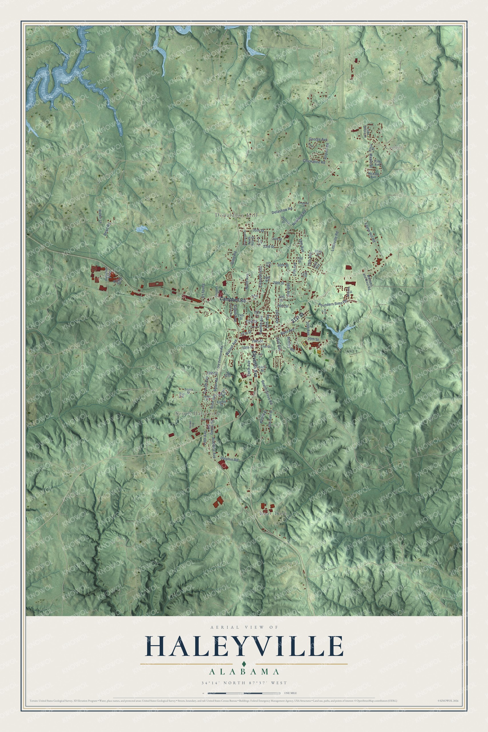 Full map of Haleyville, Alabama, with red buildings, printed street names and the land around them