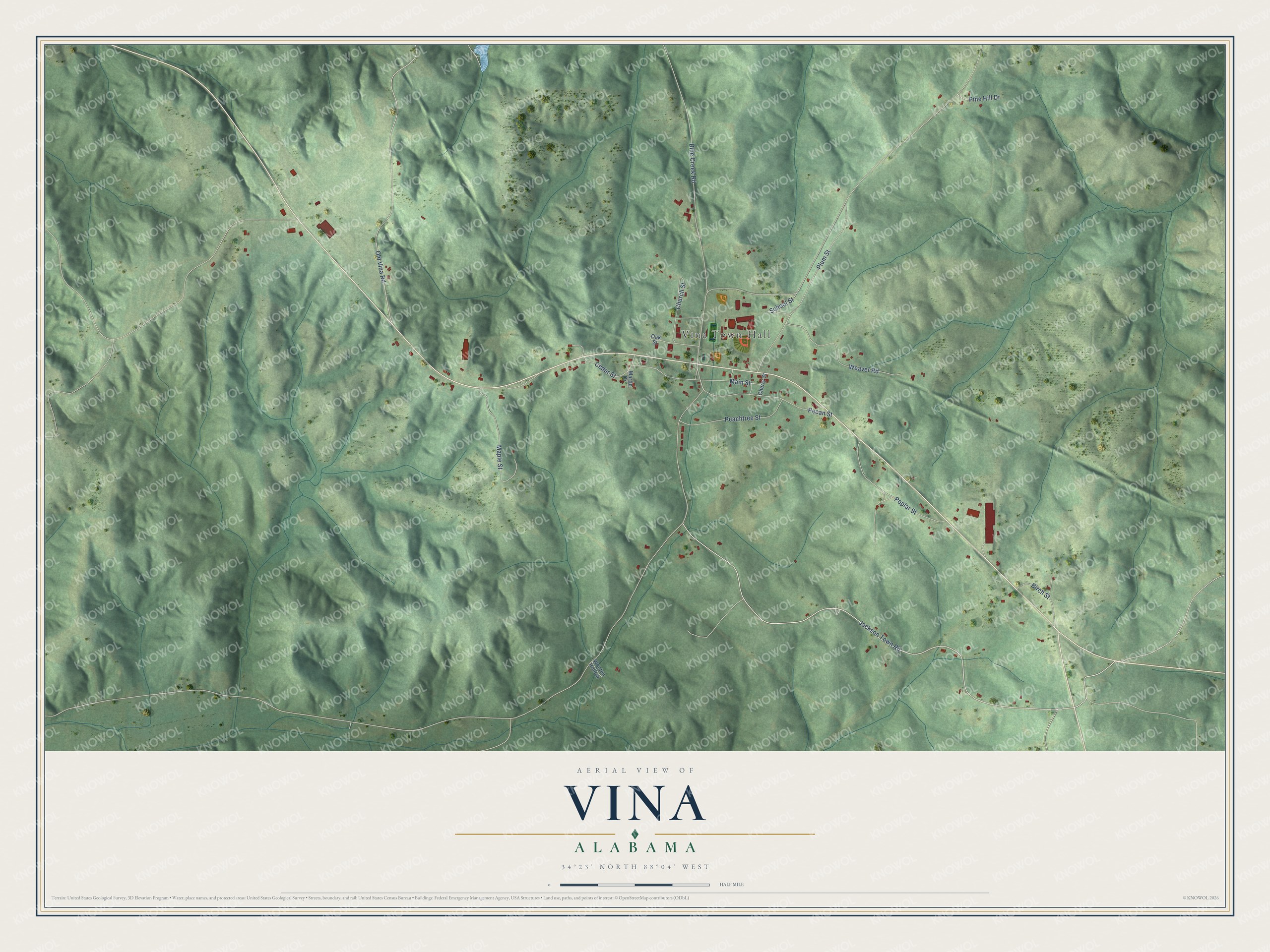 Full map of Vina, Alabama, with red buildings, printed street names and the land around them