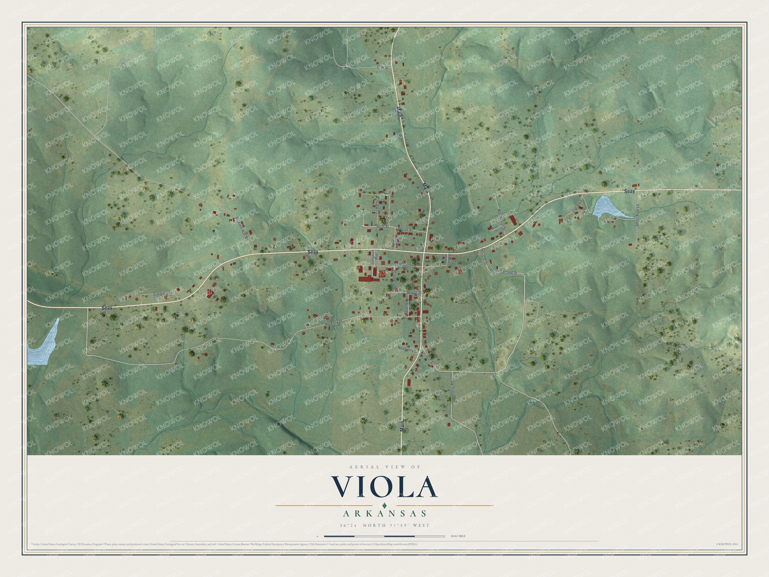 Full map of Viola, Arkansas, with red buildings, printed street names and the land around them