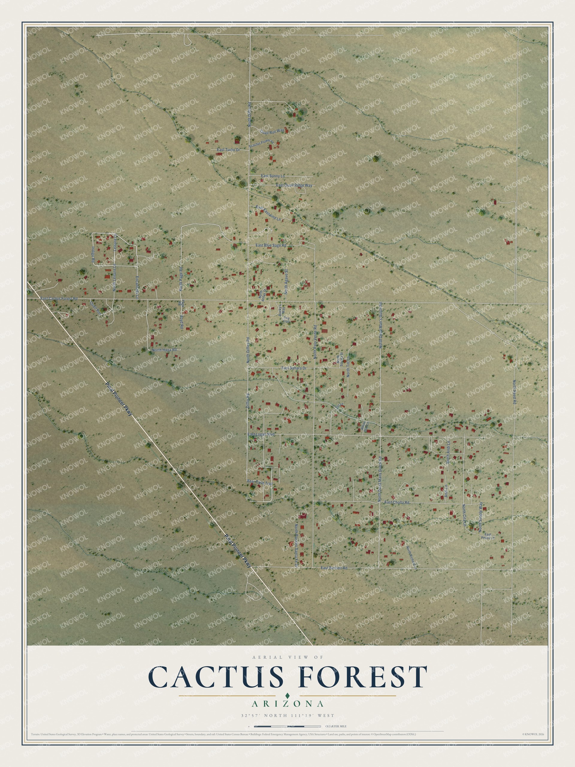 Full map of Cactus Forest, Arizona, with red buildings, printed street names and the land around them