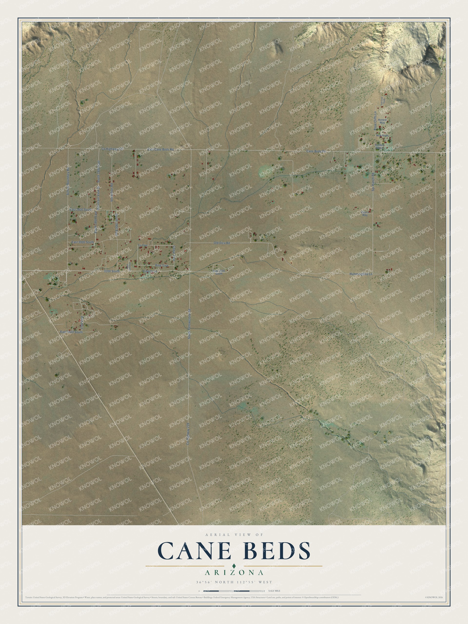 Full map of Cane Beds, Arizona, with red buildings, printed street names and the land around them