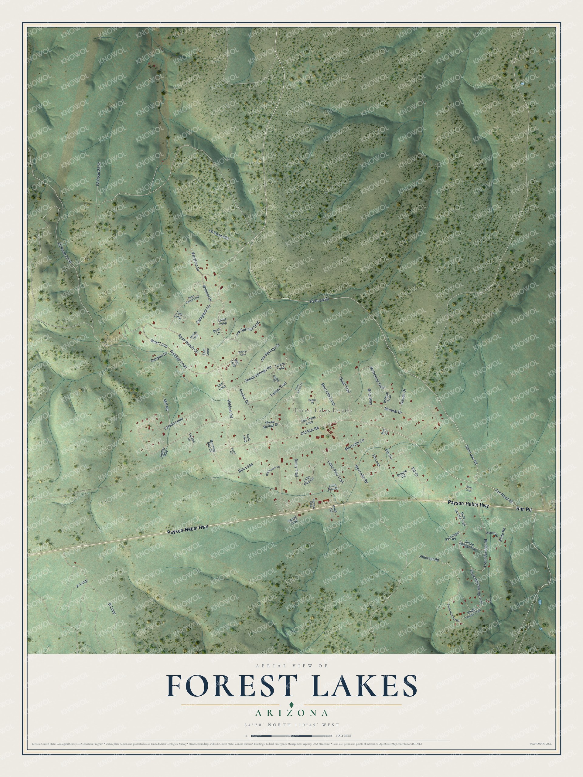 Full map of Forest Lakes, Arizona, with red buildings, printed street names and the land around them