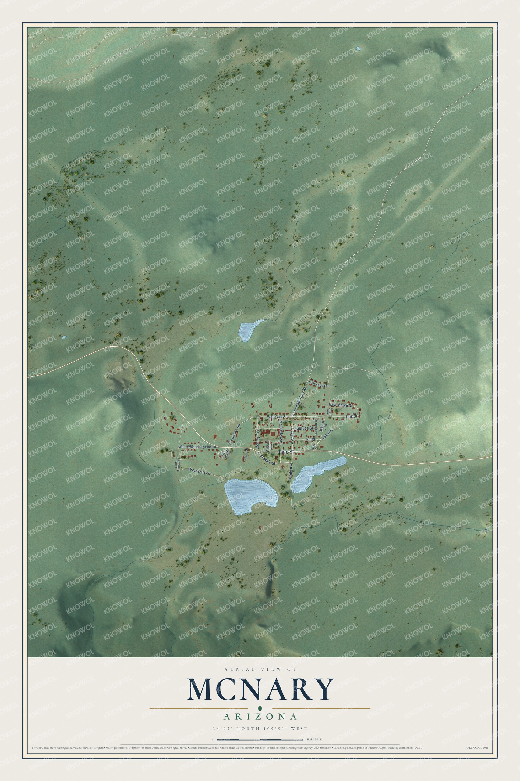Full map of McNary, Arizona, with red buildings, printed street names and the land around them