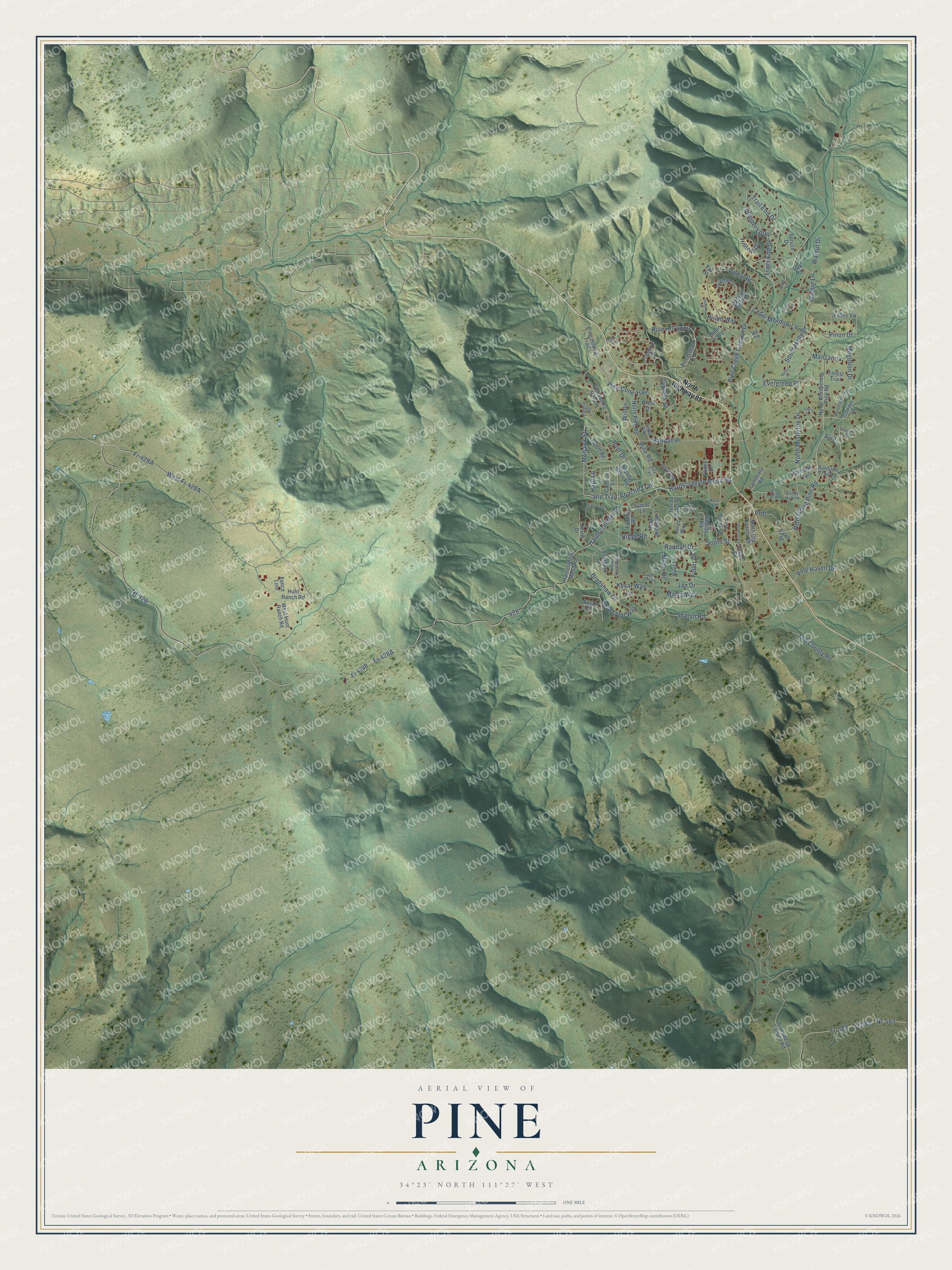 Full map of Pine, Arizona, with red buildings, printed street names and the land around them